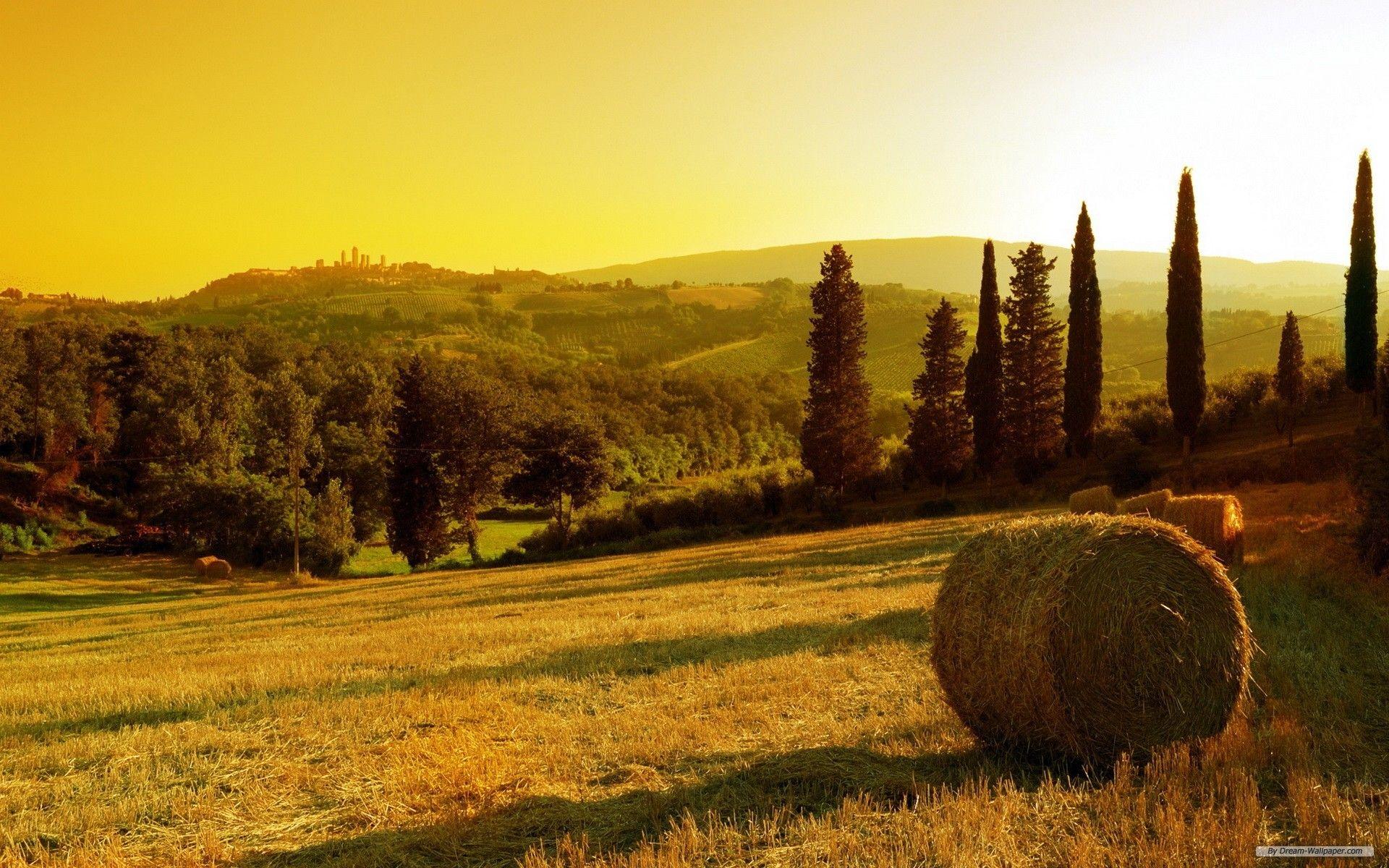 Tuscan Sunset Wallpaper