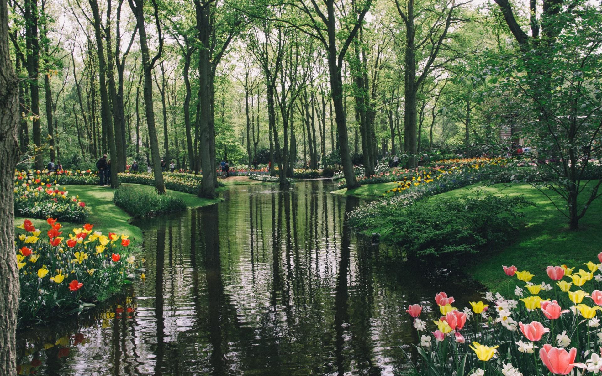 #Netherlands, #lake, #garden, #park, wallpaper. General