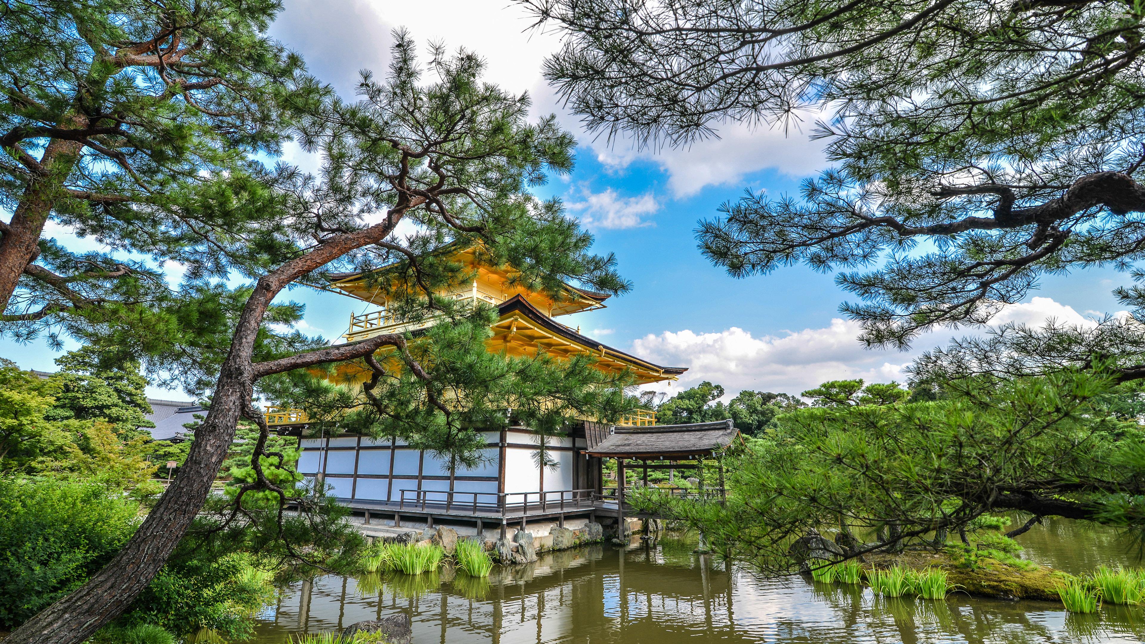 Japanese temple by the lake in a garden wallpaper wallpaper