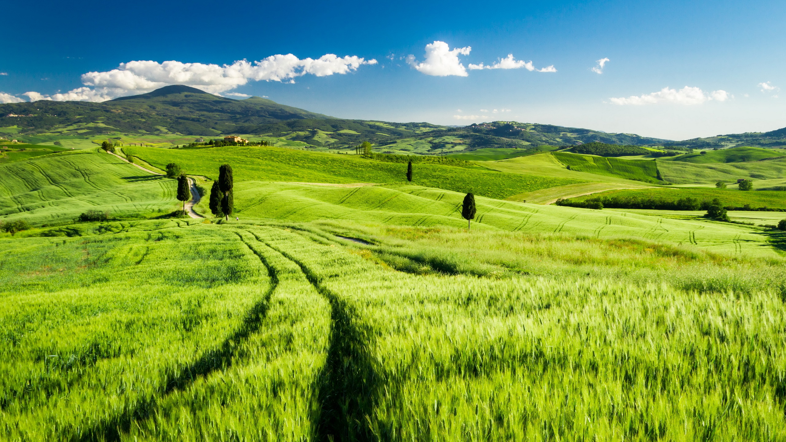 #Italy, #Landscape, #Tuscany. Mocah.org HD Wallpaper