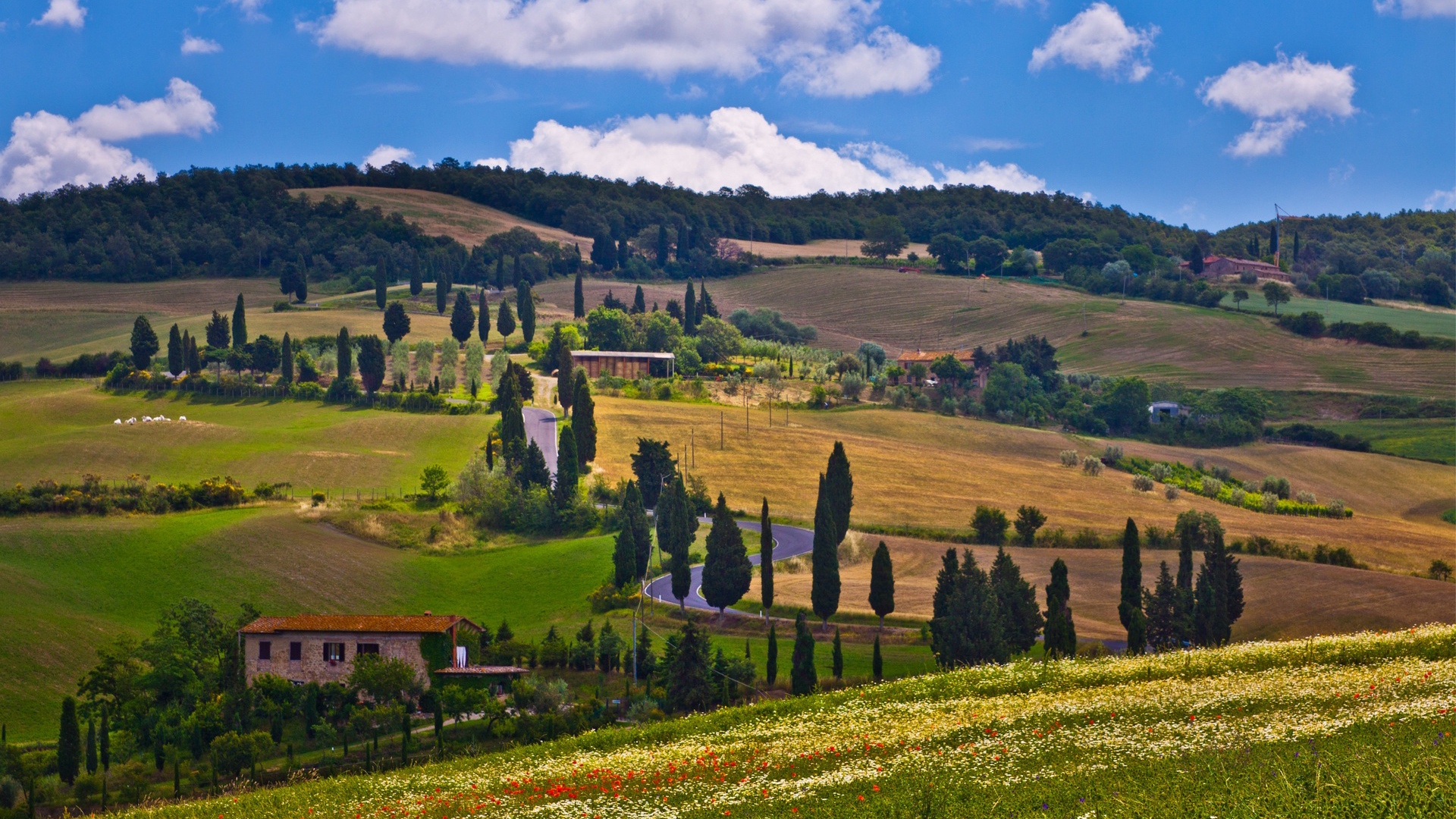 Download wallpaper 1920x1080 lucca, tuscany, italy, nature, trees