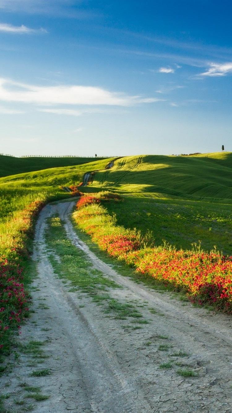 Tuscany, Italy, nature landscape, fields, road, flowers 750x1334