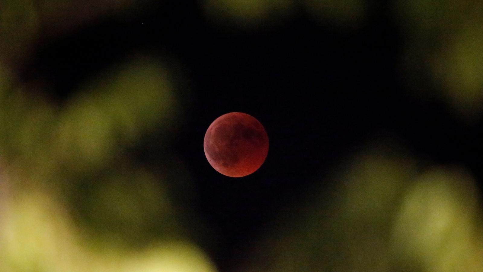 Lunar eclipse January 21: How to watch