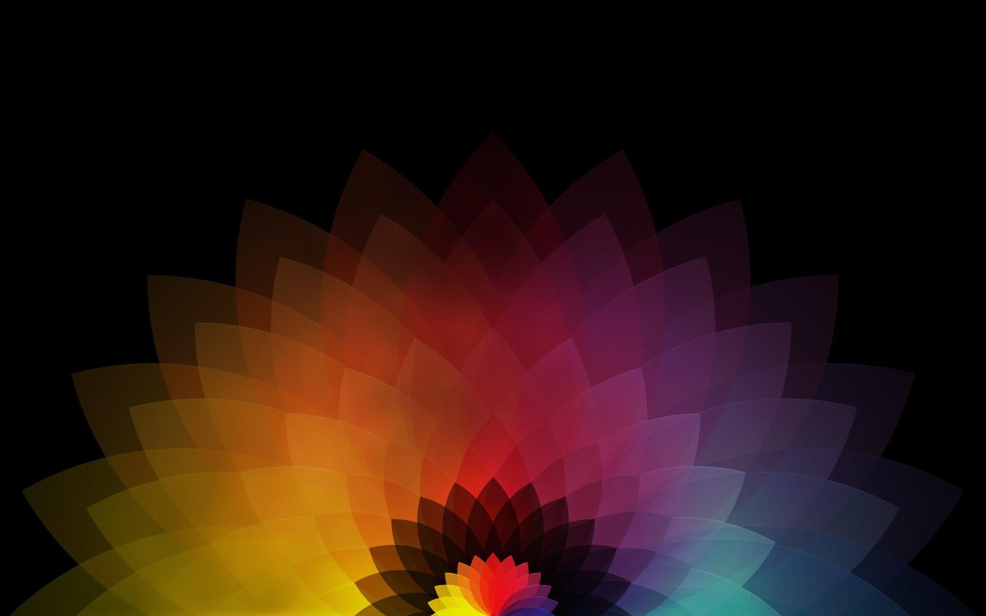 Colored Abstract Flower wallpaper. Colored Abstract Flower stock