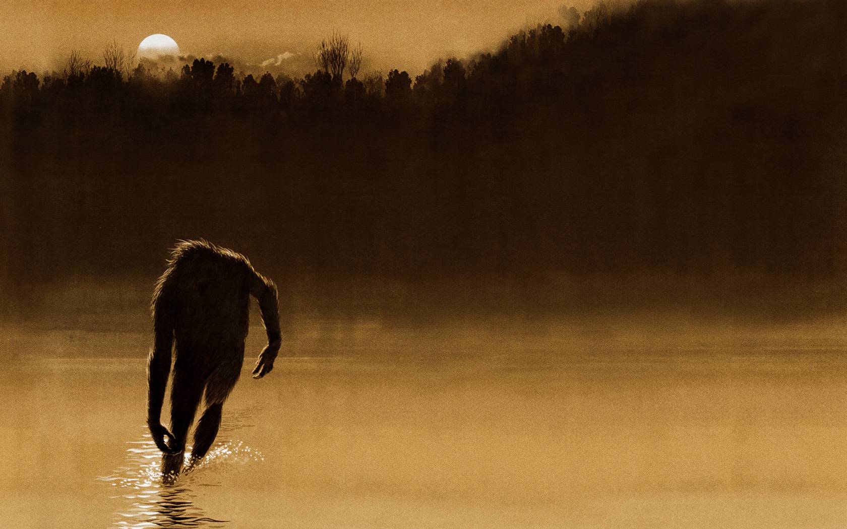 Download The Legend of Boggy Creek Wallpaper for
