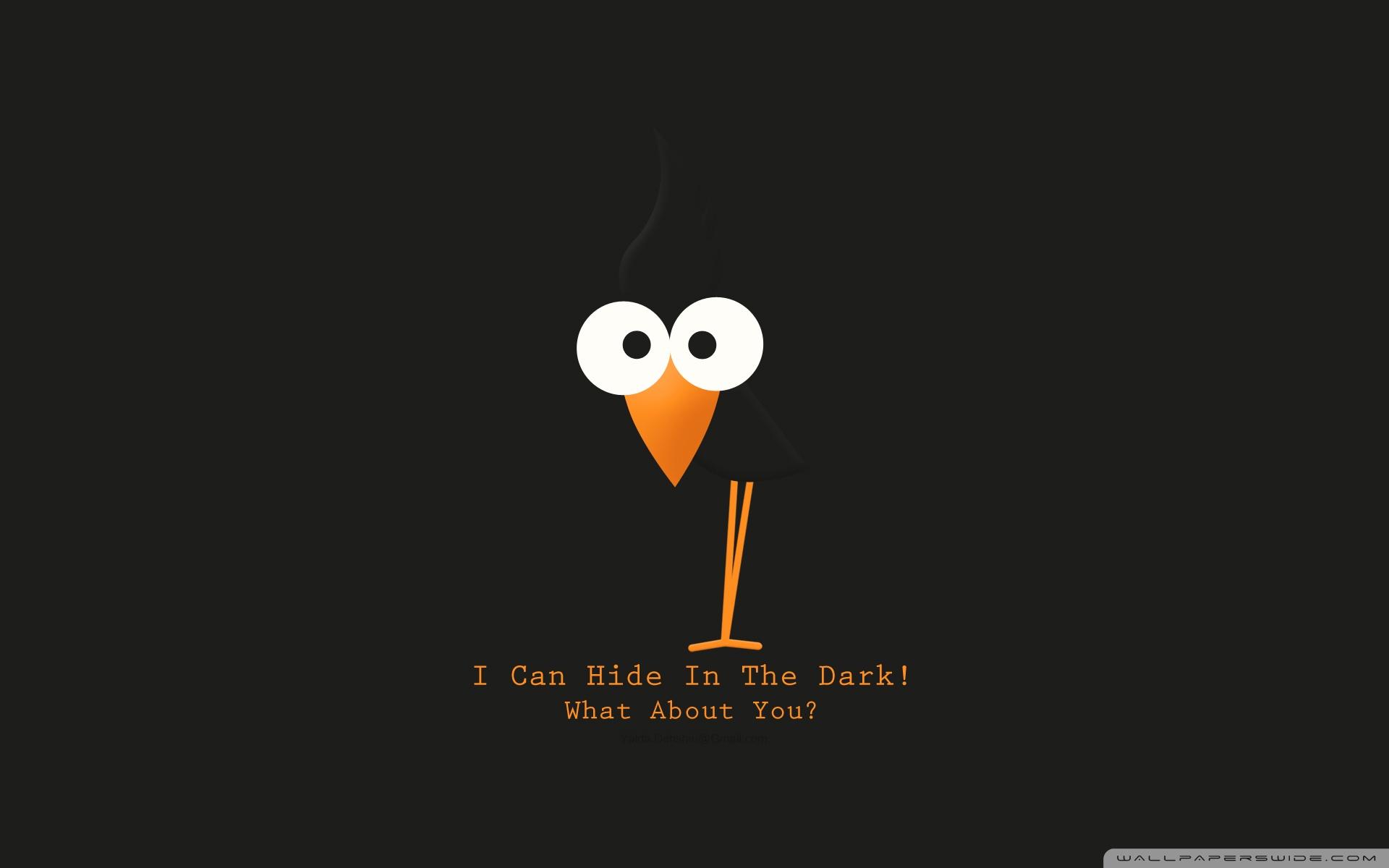 Can Wallpaper 5 X 1200