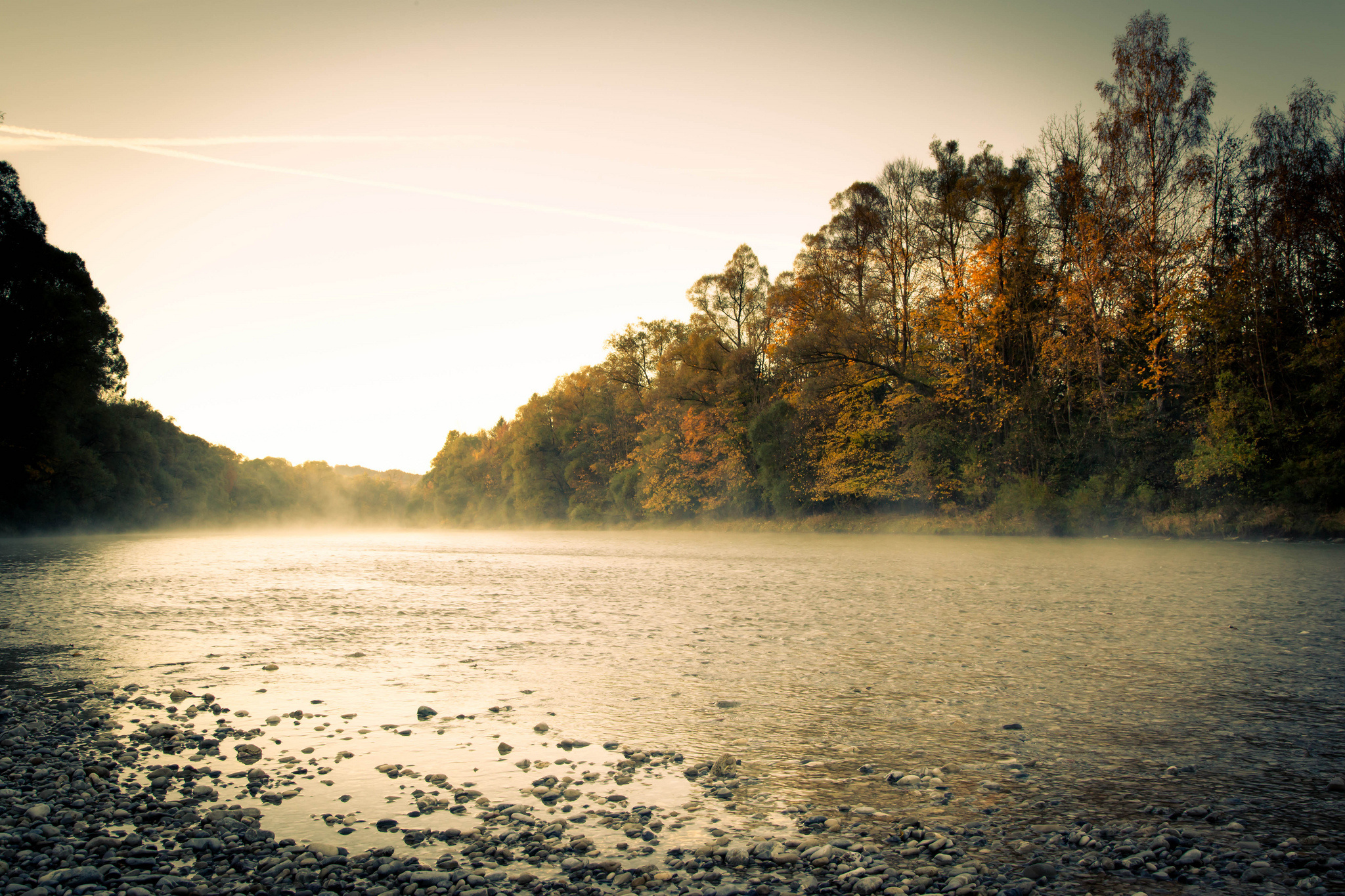 Morning river fog forest autumn wallpaperx1365