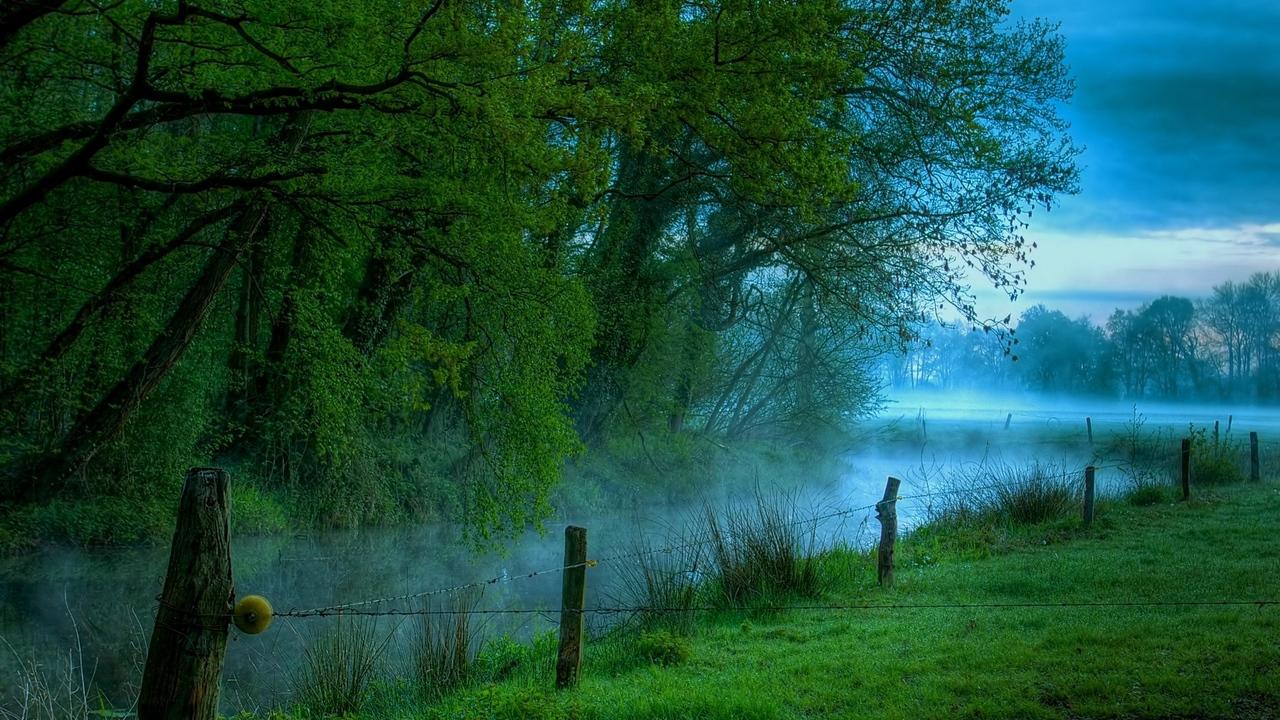 Download wallpaper 1280x720 fence, trees, wire, fog, morning, river