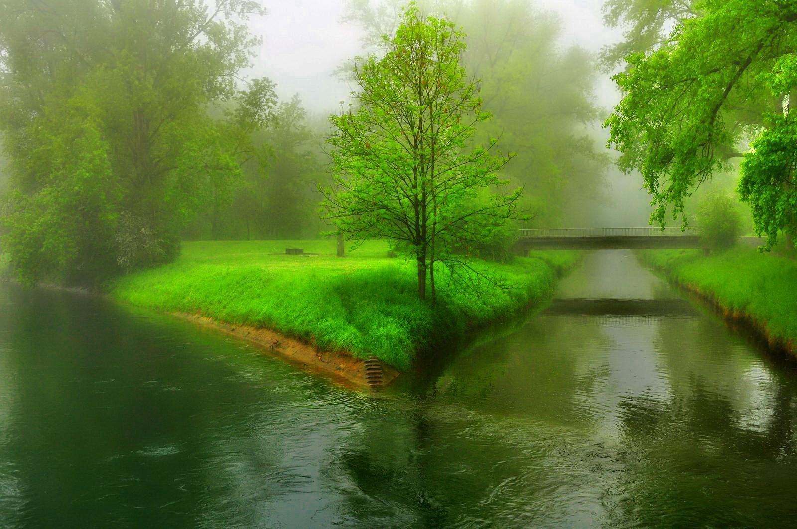Rivers wallpaper: Beautiful View Sunrise River Forest Glare