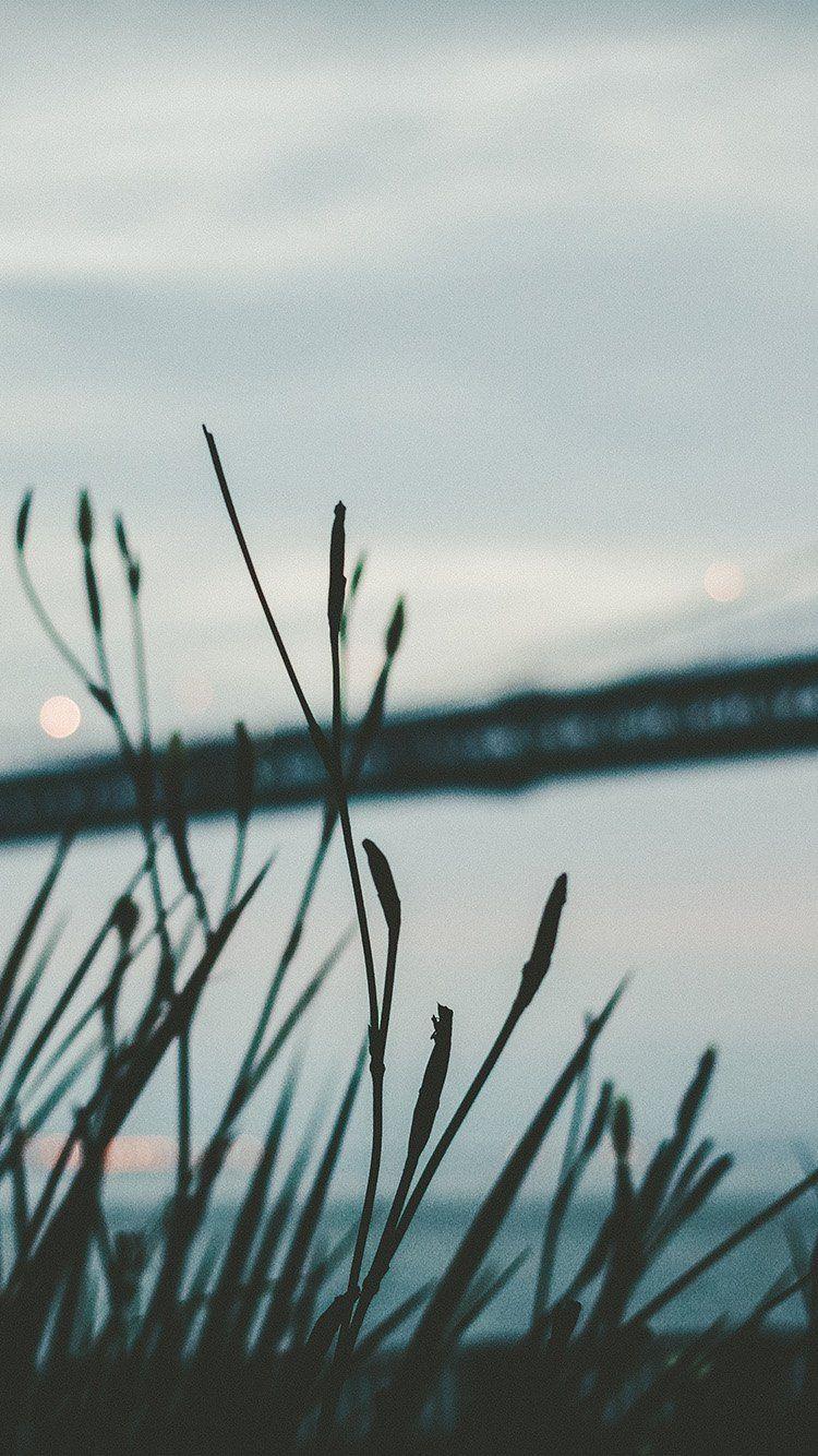 BRIDGE MORNING RIVER BOKEH WALLPAPER HD IPHONE. Wallpaper. iPhone