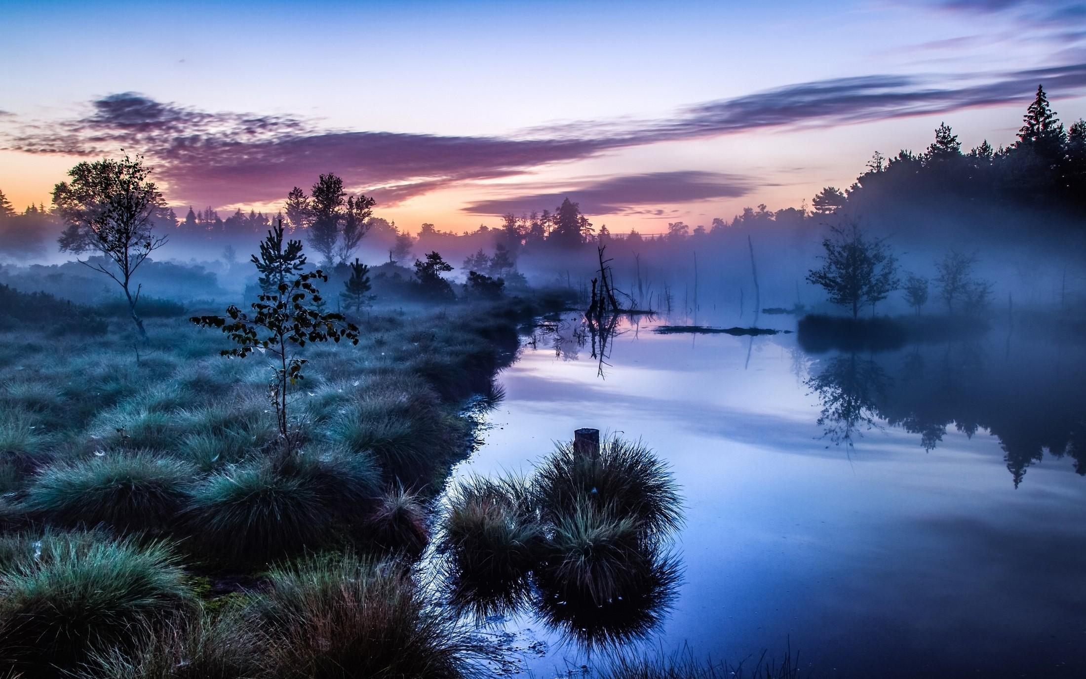 landscape, Nature, Mist, Sunrise, Trees, Shrubs, River, Germany
