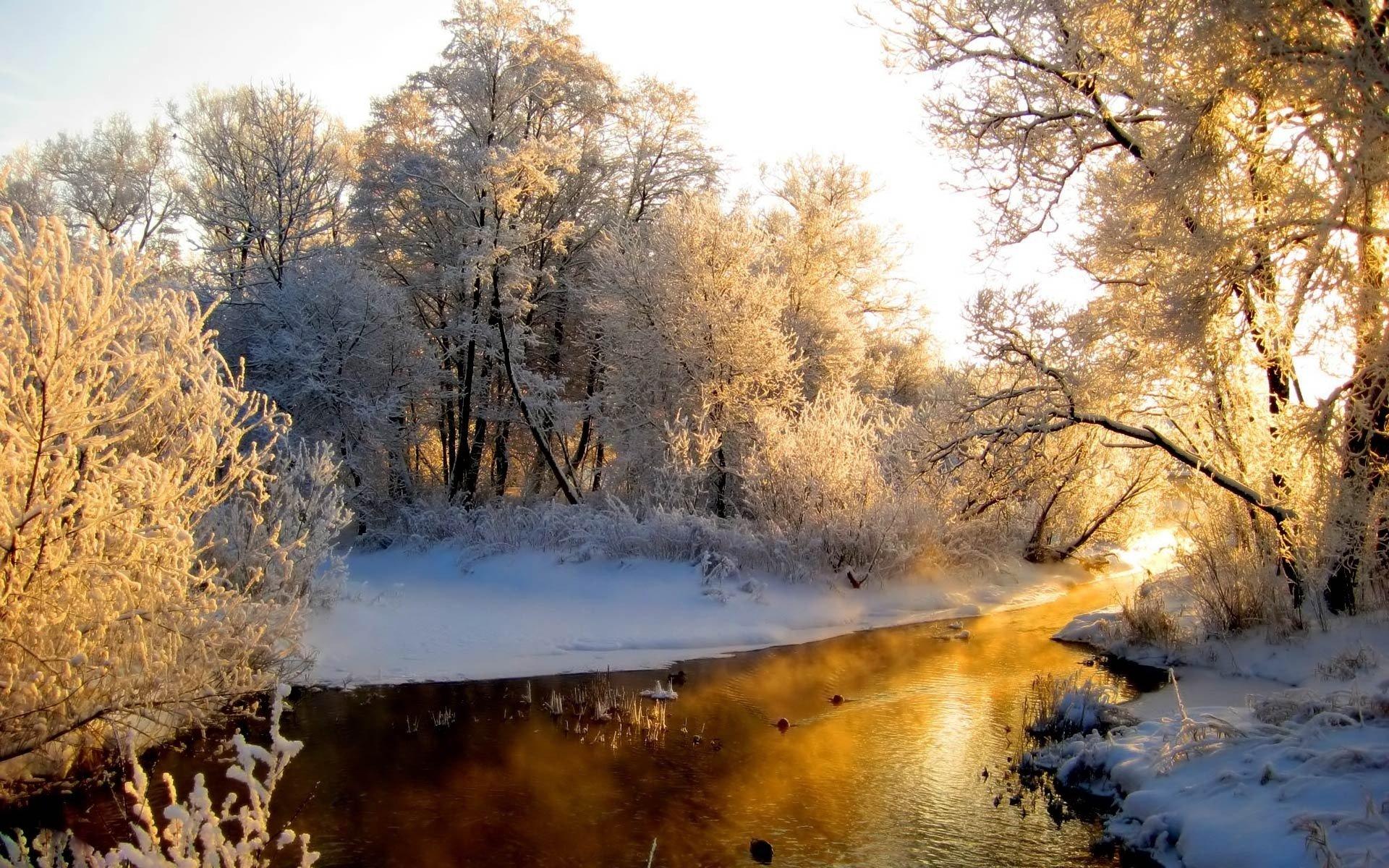 River in winter forest. Belinda Riddle wallpaper, 1920x1200 pixel