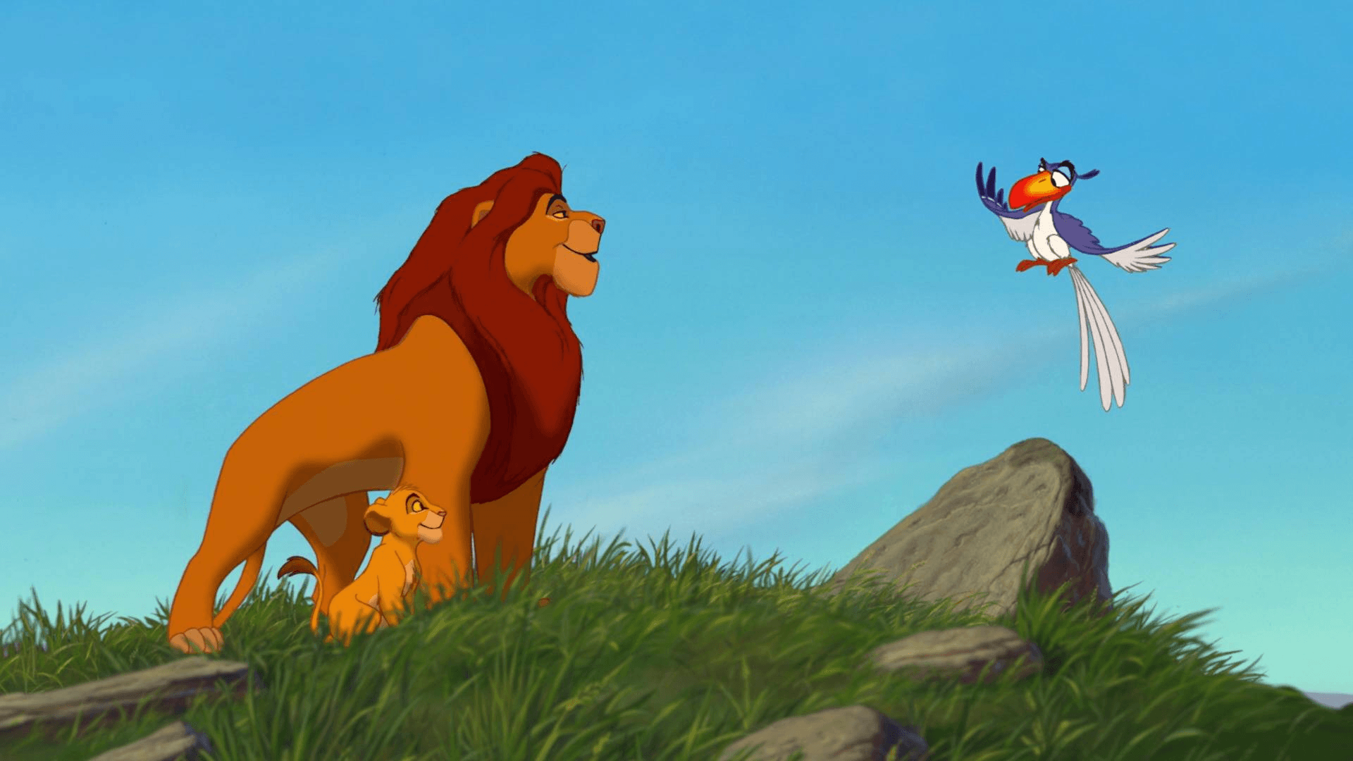 The Morning Report. The Lion King