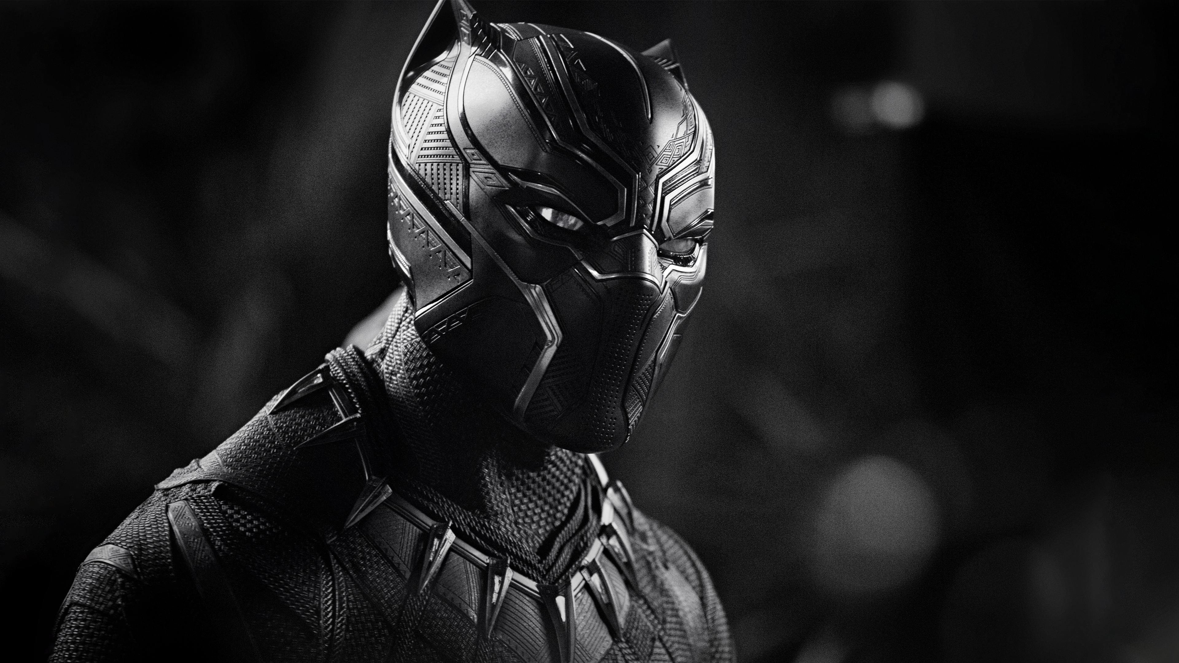 Black Panther Monochrome 4k, HD Movies, 4k Wallpaper, Image