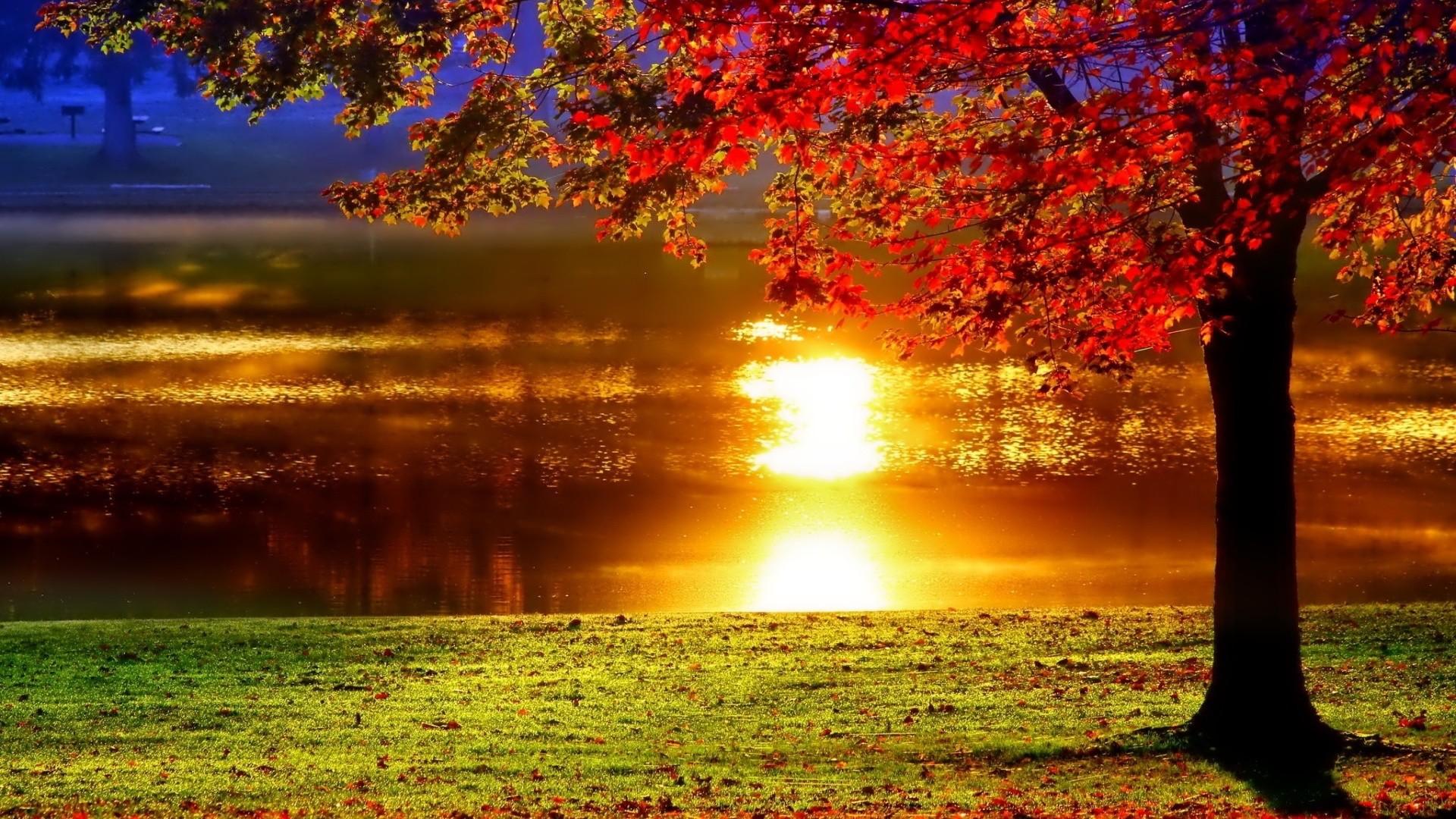 Fall Background Sunset