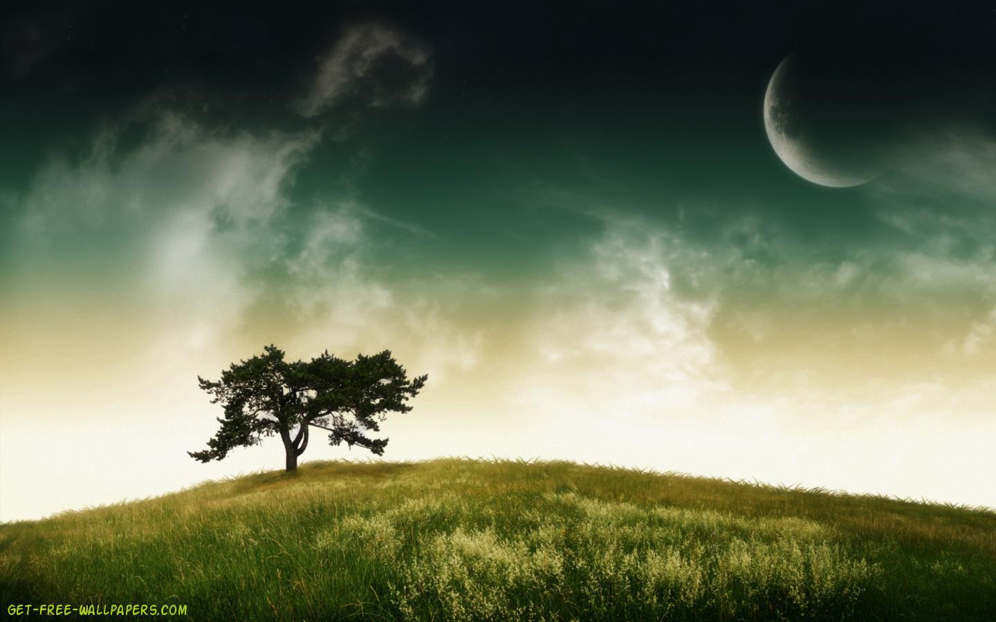 1440x900px Lonely Tree Wallpaper