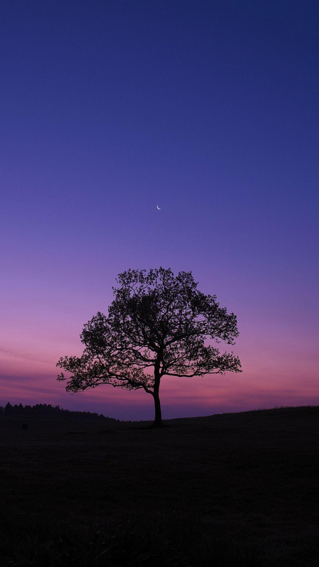 Lonely tree on a lonely night, sky, lonely. Phone Wallpaper