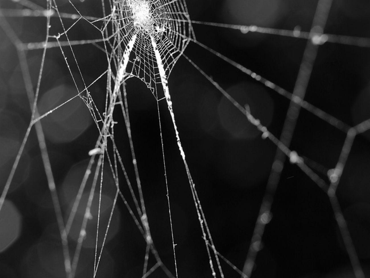 Download Broken Screen Wallpaper Desktop High Quality HD Wallpaper in 2K 4K 5K 8K 10K resolution for you. Broken screen wallpaper, Screen wallpaper, Broken screen