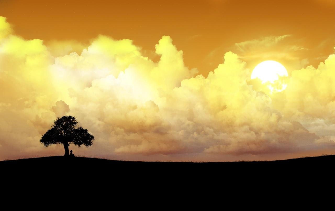 Lonely tree wallpaper. Lonely tree