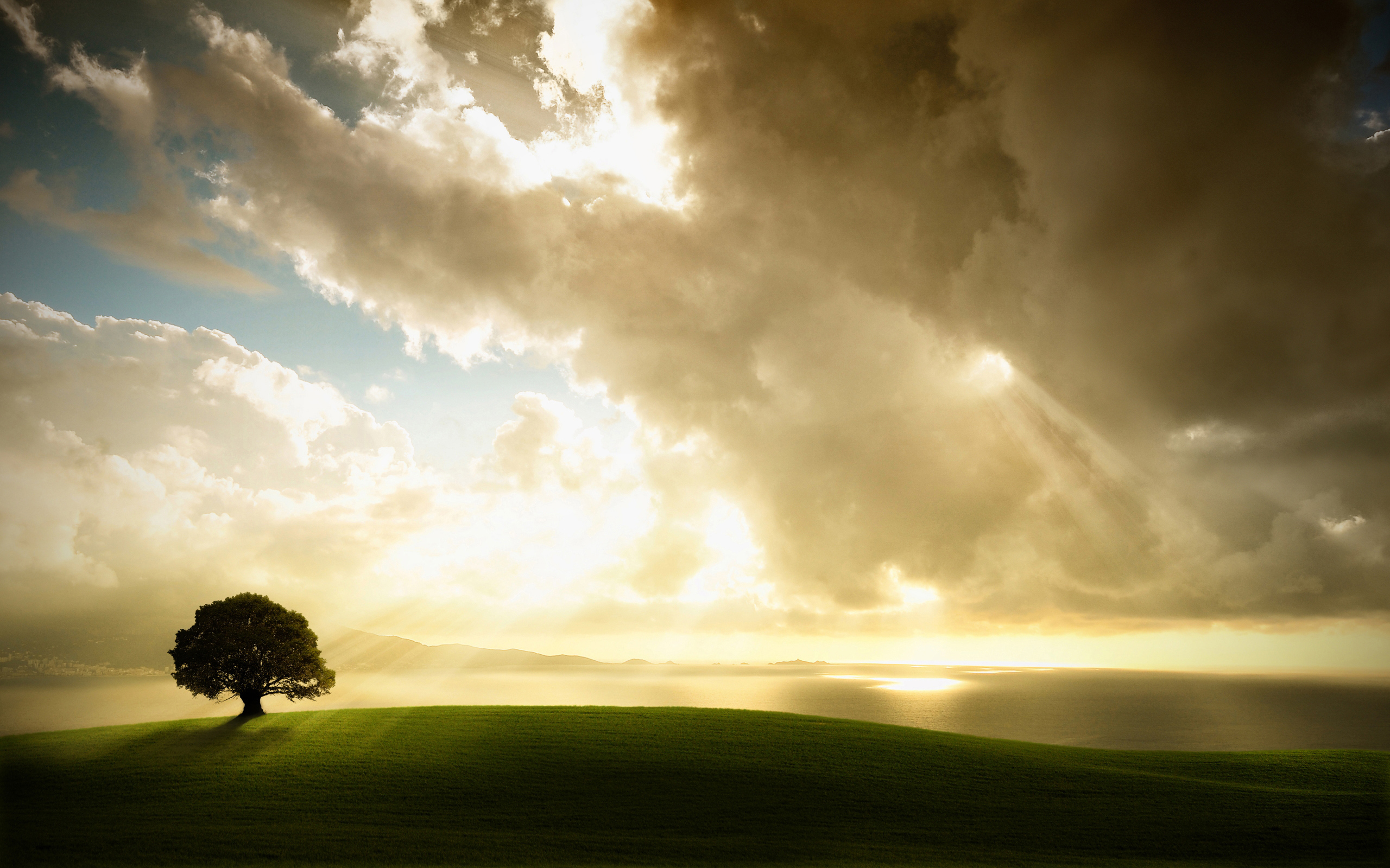 Lonely Tree Beautiful Sunshine Wallpaper and Free Stock