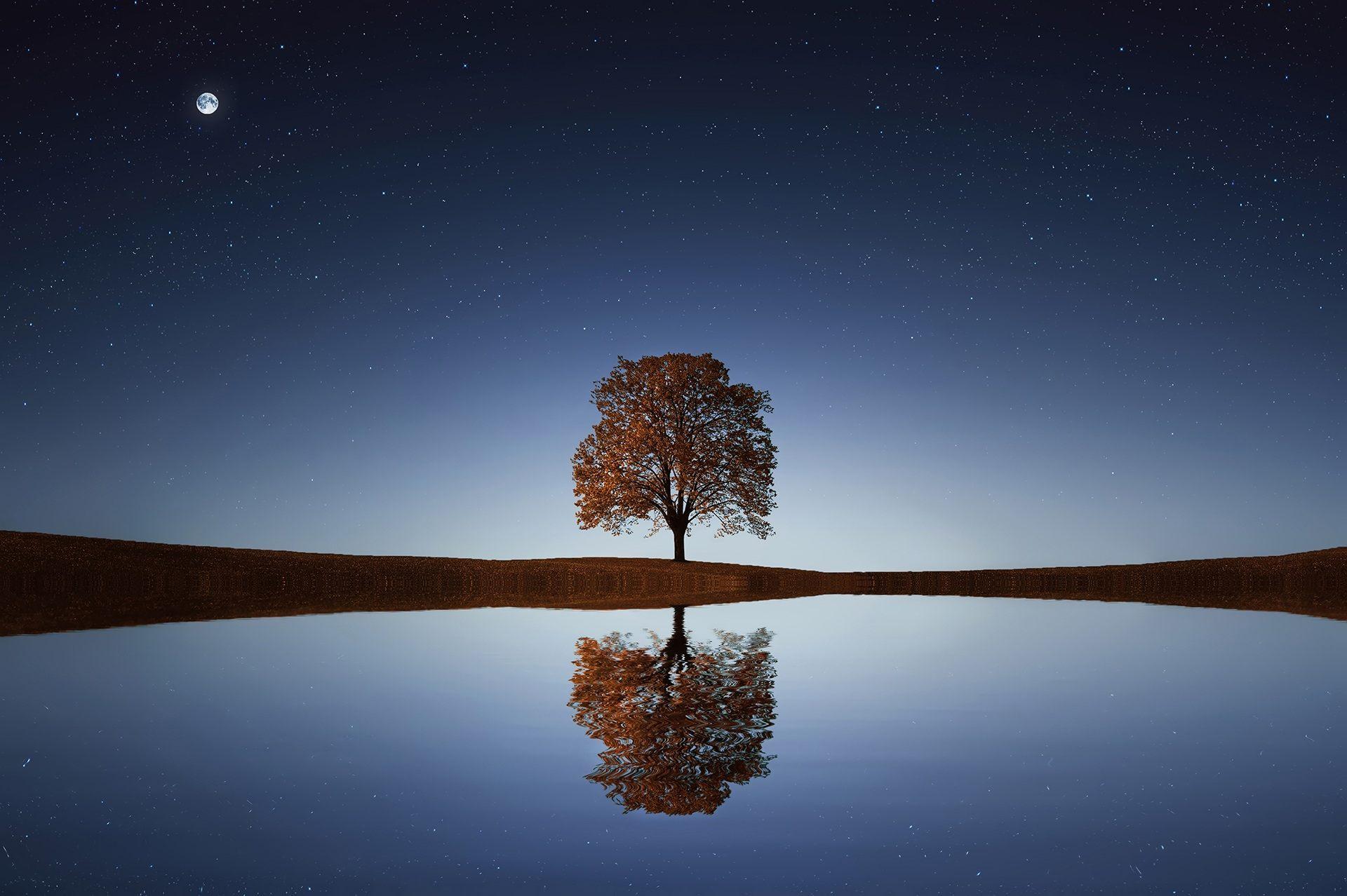 Lonely Tree Wallpapers - Wallpaper Cave
