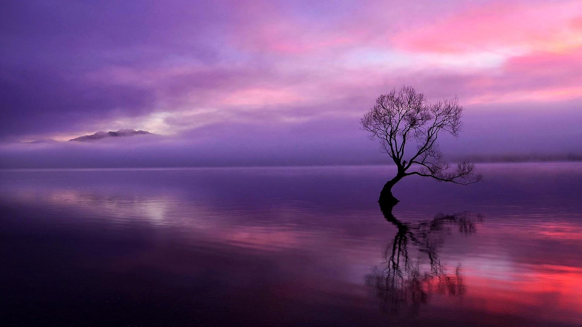 The Lonely Tree Wallpapers - Wallpaper Cave