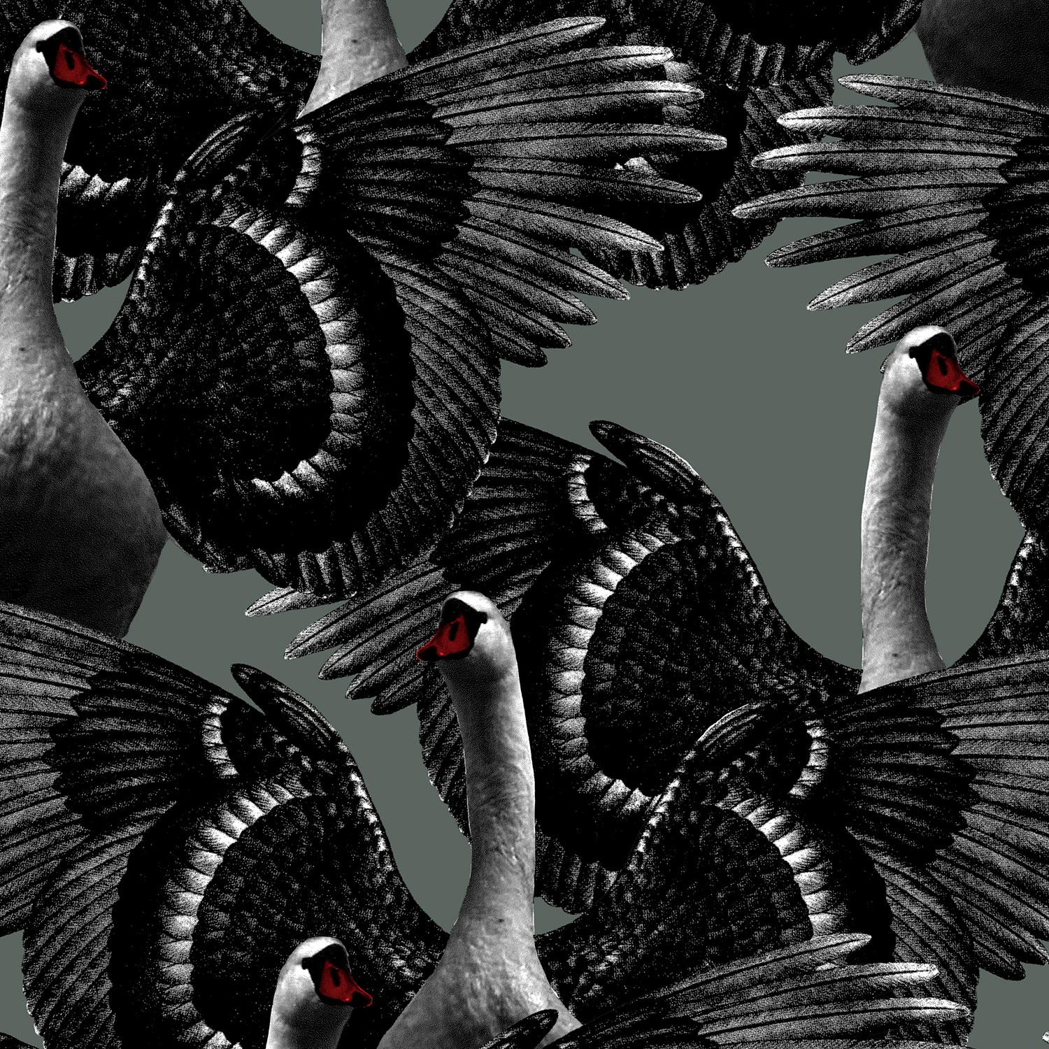 Swan Lake Wallpaper, Green