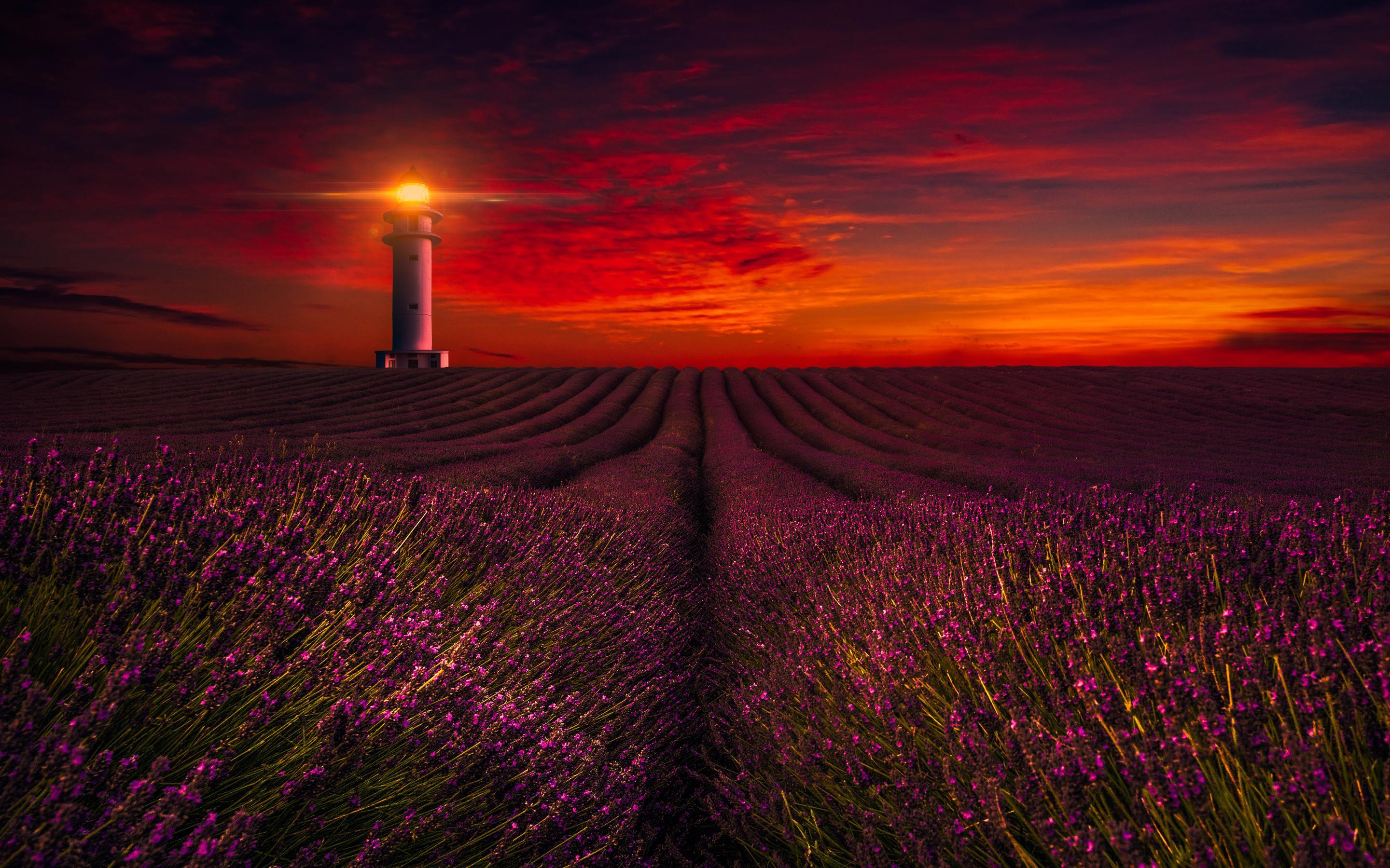 Sunset Lavender Field Lighthouse 5K Wallpaper