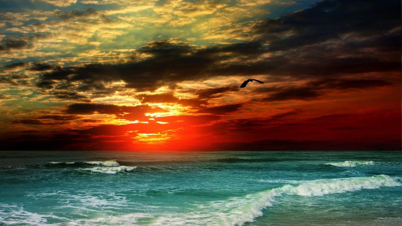 Sea, 5k, 4k wallpaper, 8k, ocean, sunset, shore, clouds (horizontal) (mit Bildern). Strandlandschaft, See, Natur