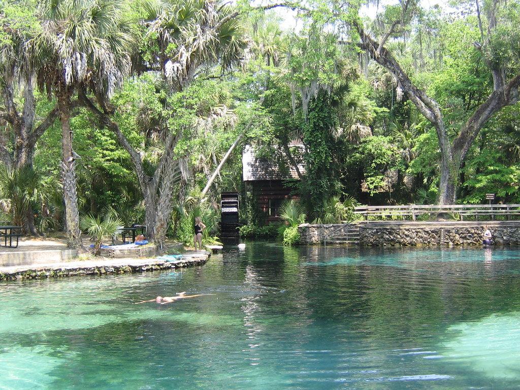 Juniper Spring swimming pool