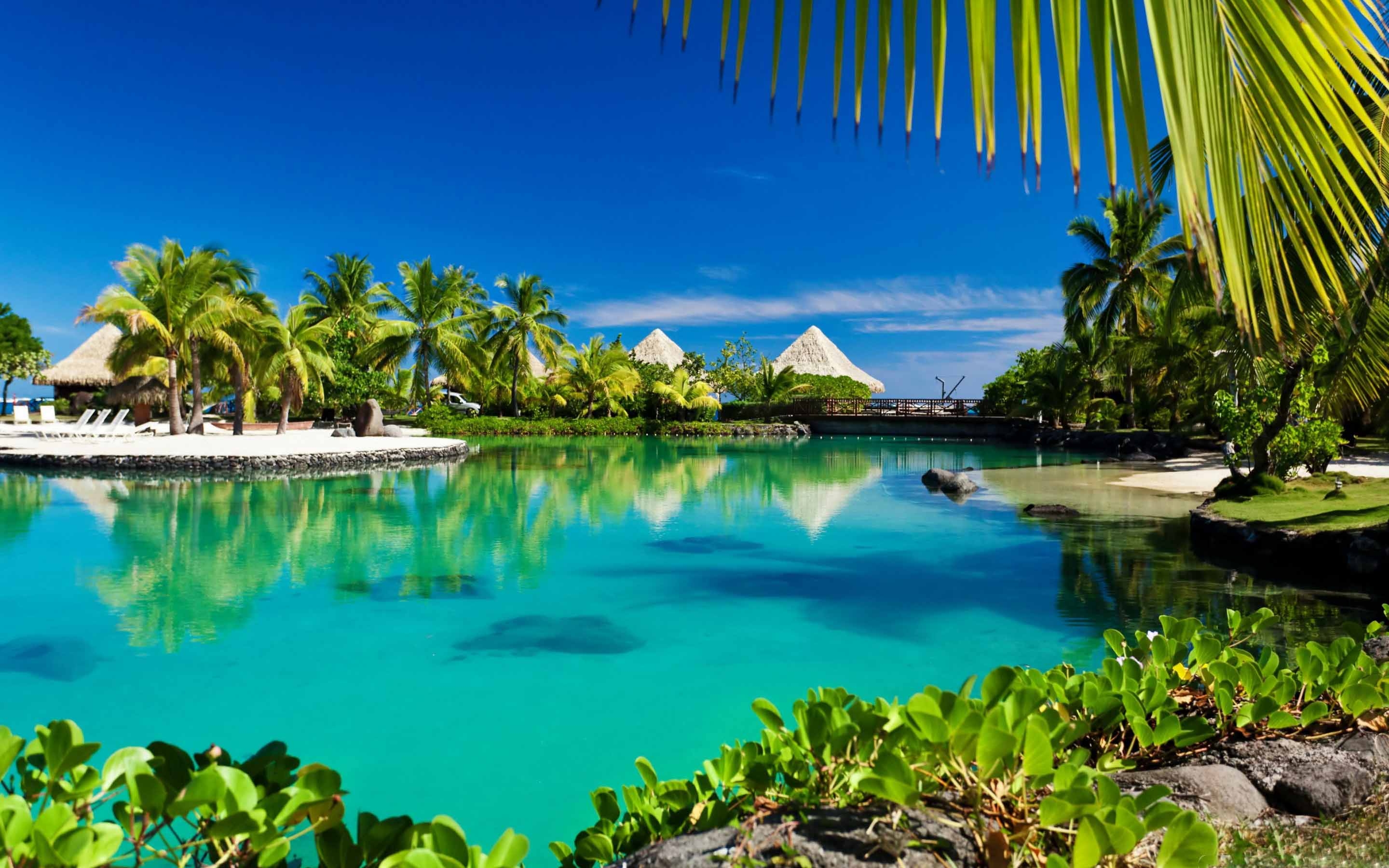 Tropical Island Swimming Pool Resort Mac Wallpaper Download. Free