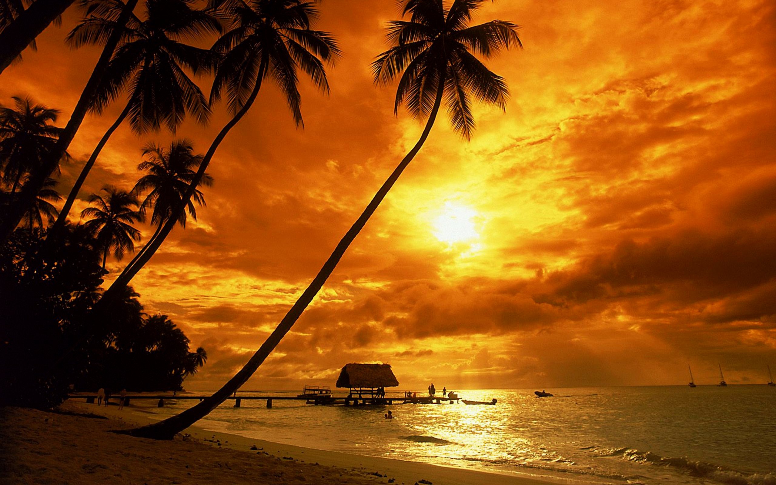Tropical sunset wallpapers.