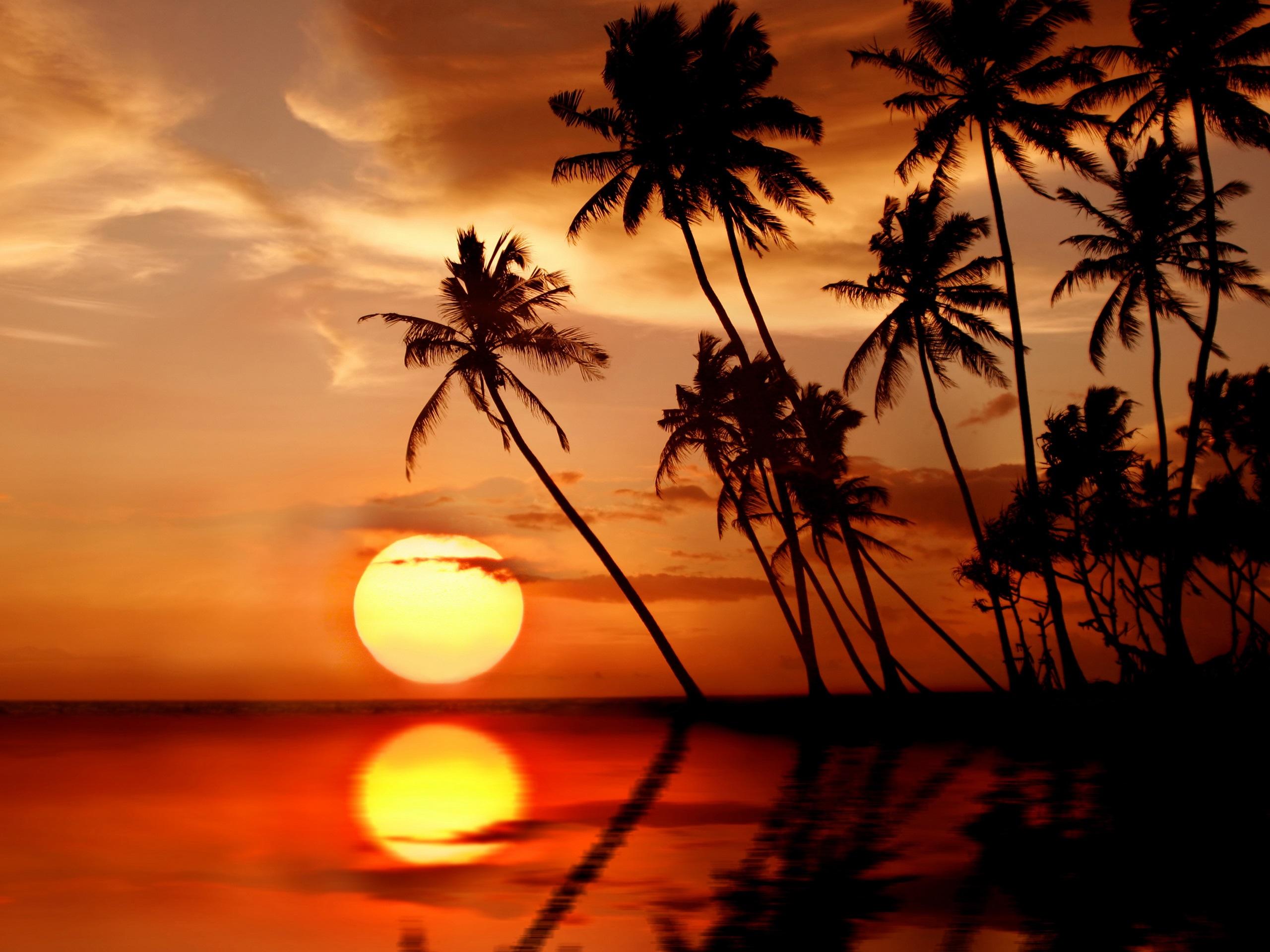 Tropical Sunset Wallpapers - Wallpaper Cave