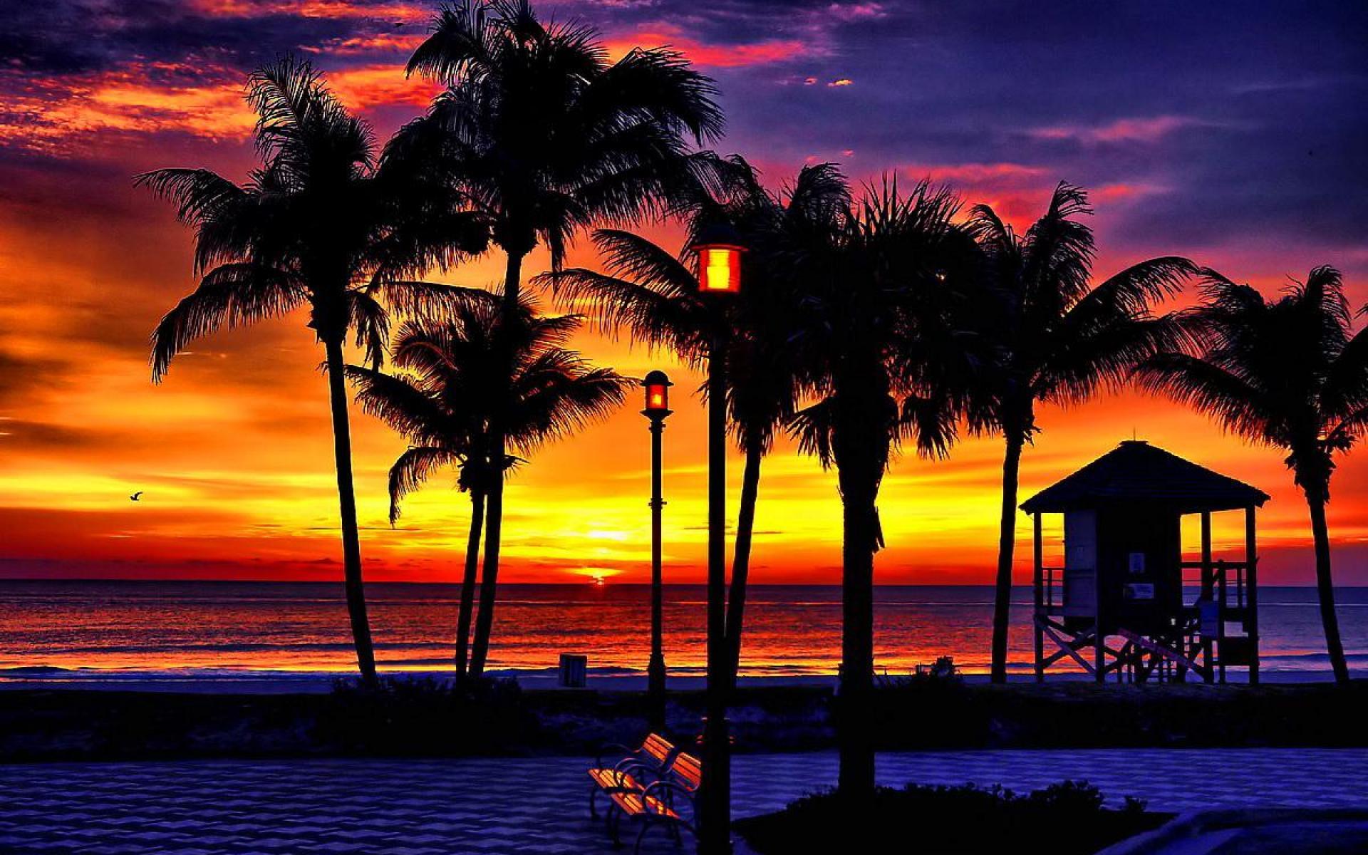 tropical sunset wallpaper
