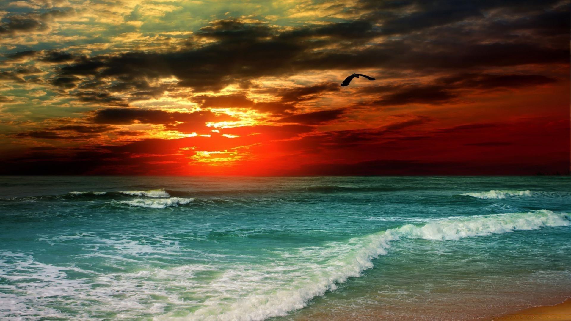 Tropical Sunset. Desktop wallpaper for free