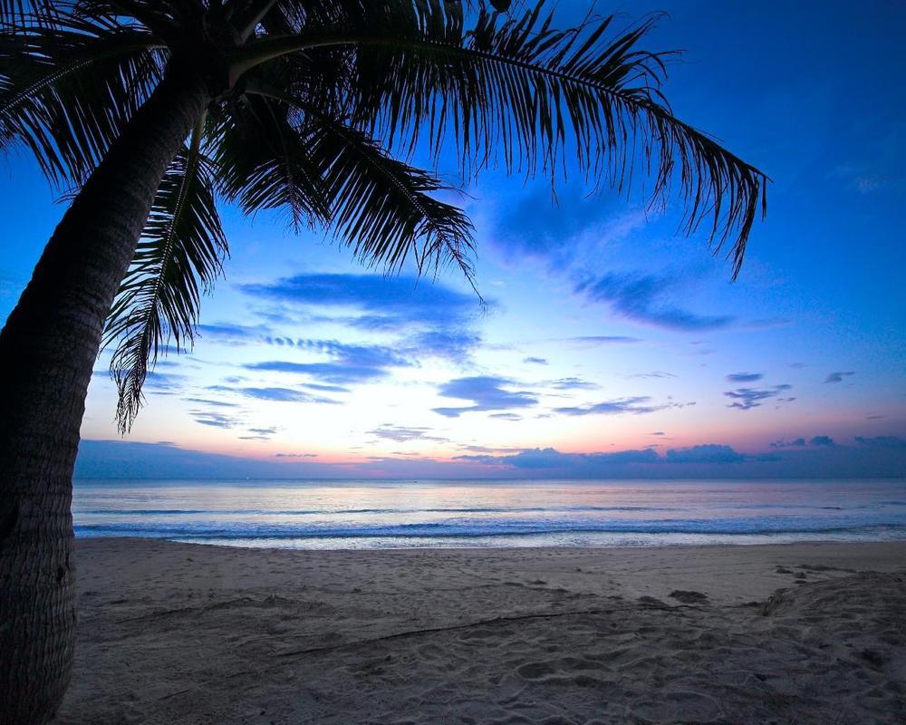 Tropical Sunset Wallpaper for Android