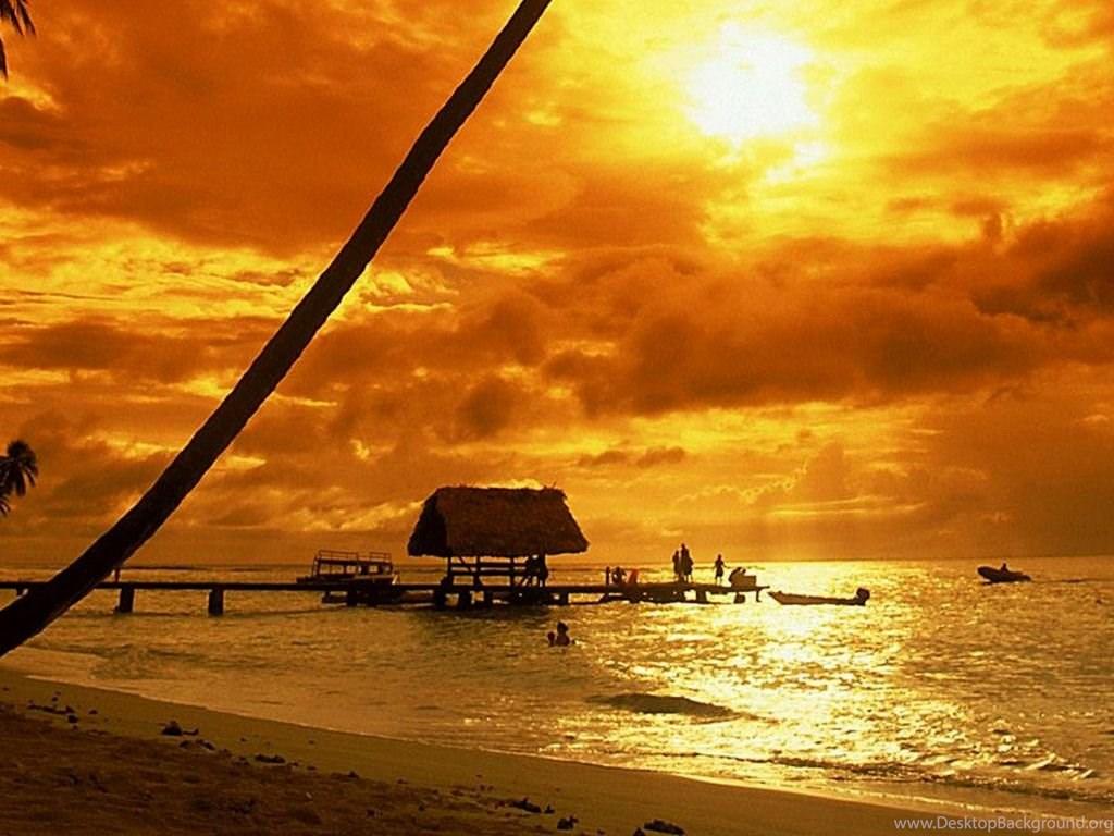 Tropical Sunset Wallpaper Beach Wallpaper Desktop Background