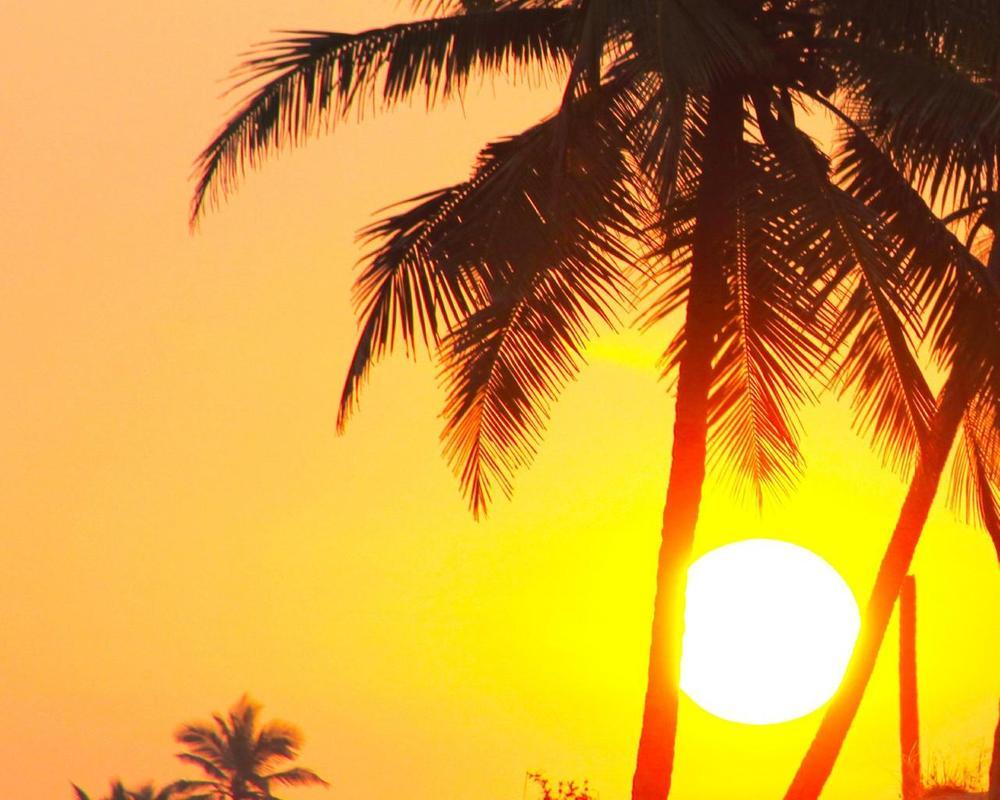 Tropical Sunset Wallpaper for Android