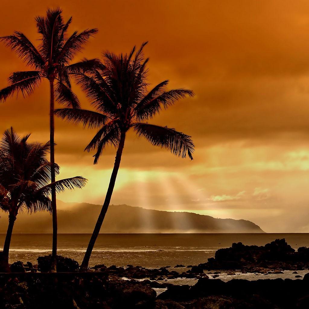 Tropical sunset Wallpaper for iPad and Galaxy Tab & iPad