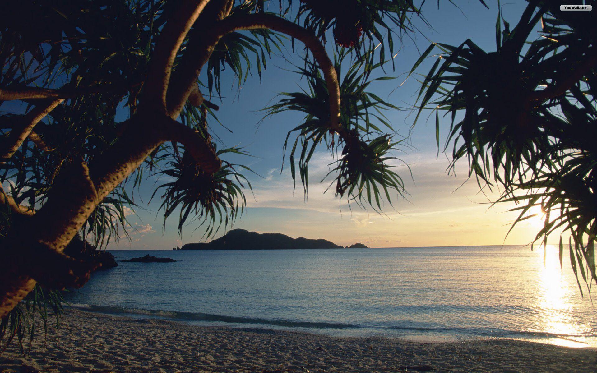 Tropical sunset wallpaper Gallery