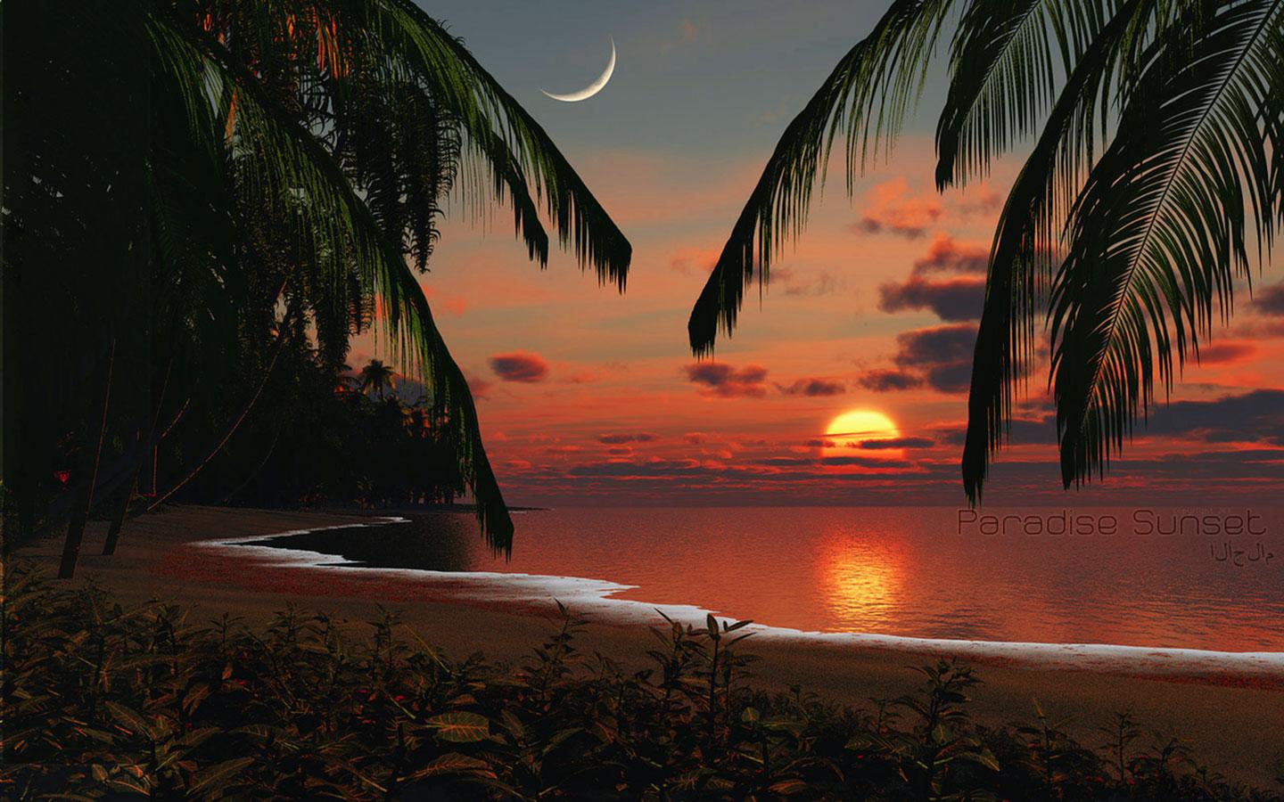 Tropical Island Sunset Wallpaper HD