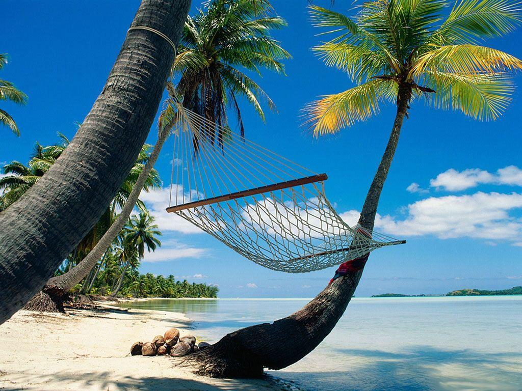 IRBOB SEVENFOLD: paradise wallpaper desktop