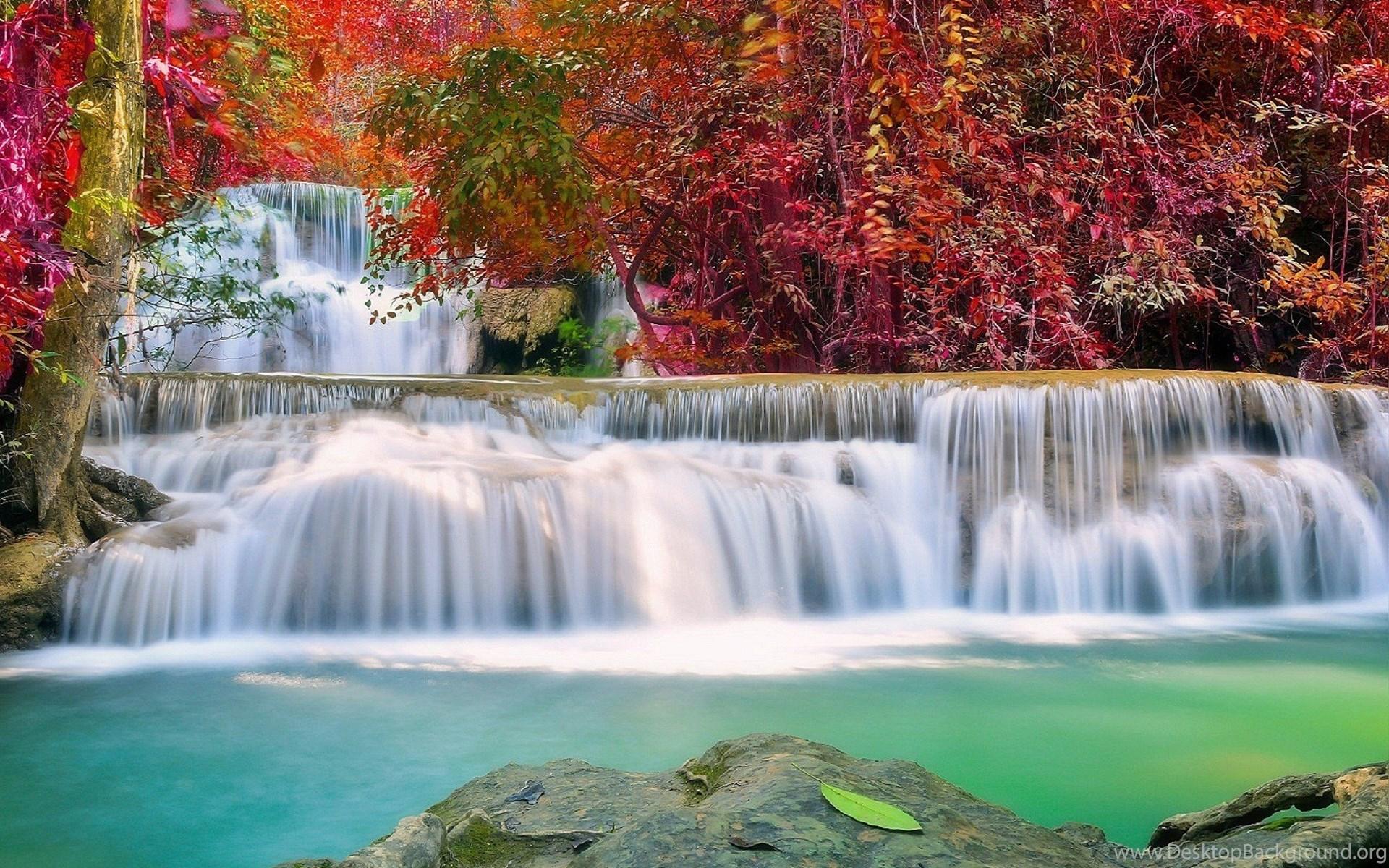 Waterfalls: Waterfall Autumn Photography Paradise Plants Love