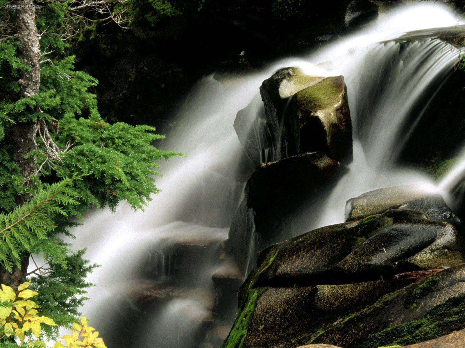Nature: Paradise River Waterfall, Washington, picture nr. 28782