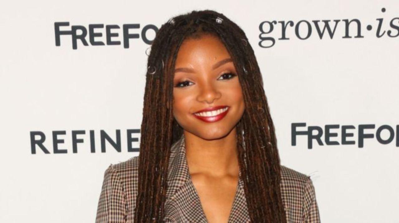 The Little Mermaid' Fans Weigh in After Disney Casts Halle Bailey