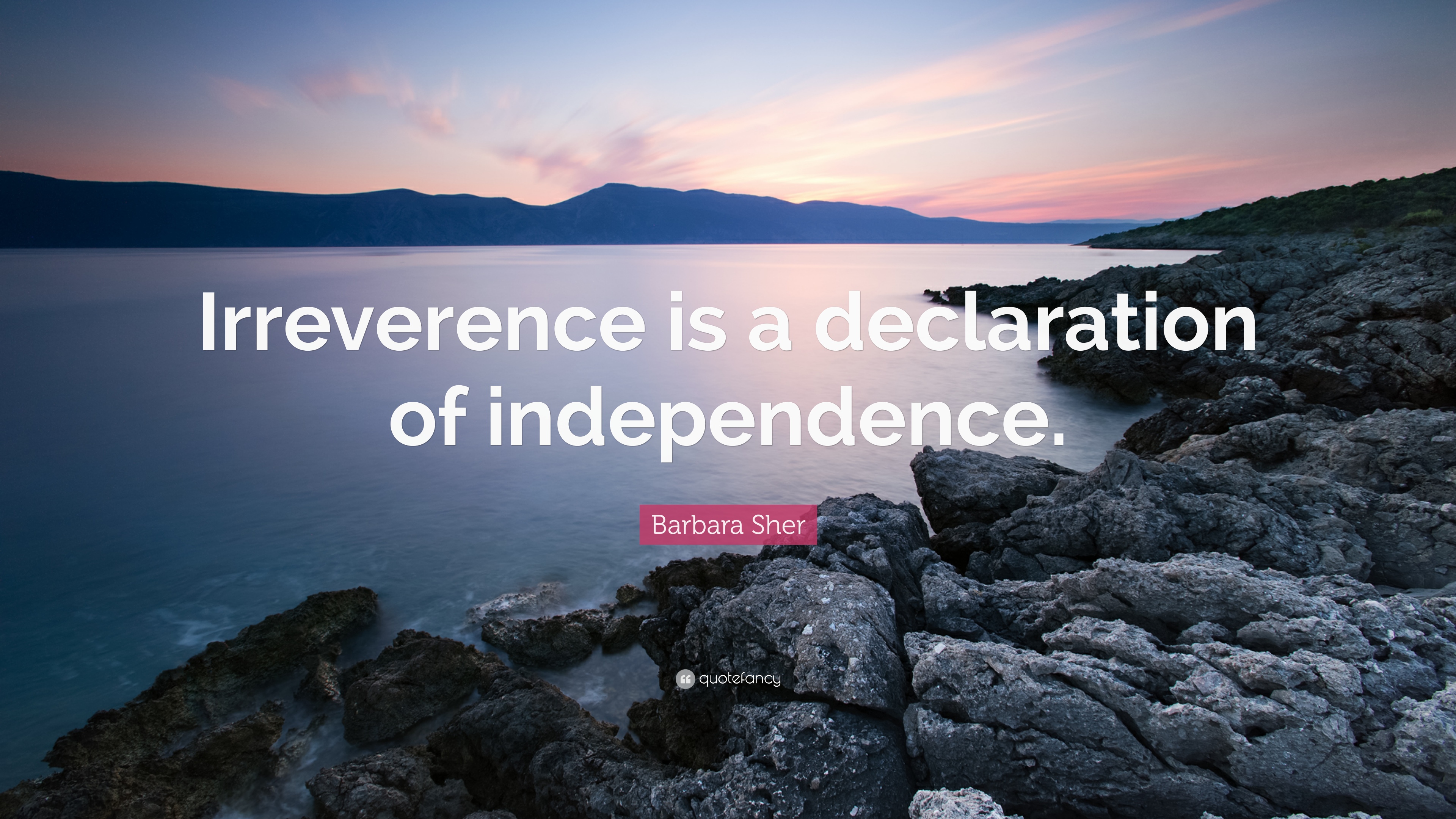Barbara Sher Quote: “Irreverence is a declaration of independence