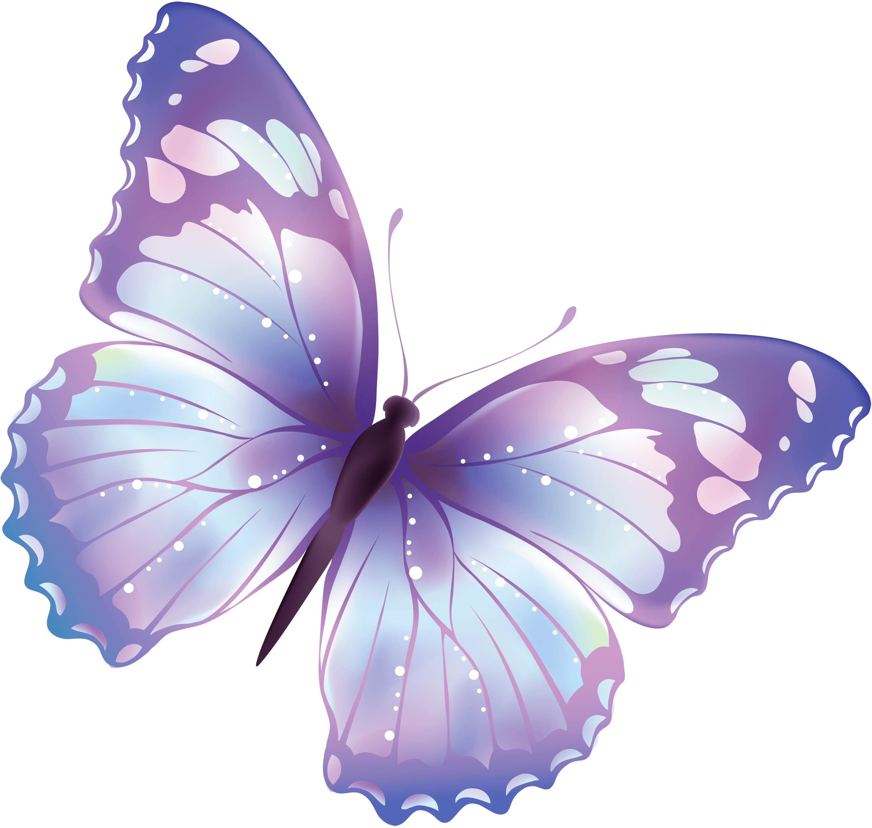Free butterfly wallpaper 20 PNG image on Yokoent Clipart