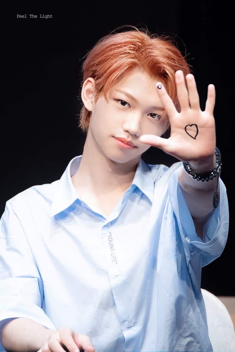 Stray kids, felix. shared