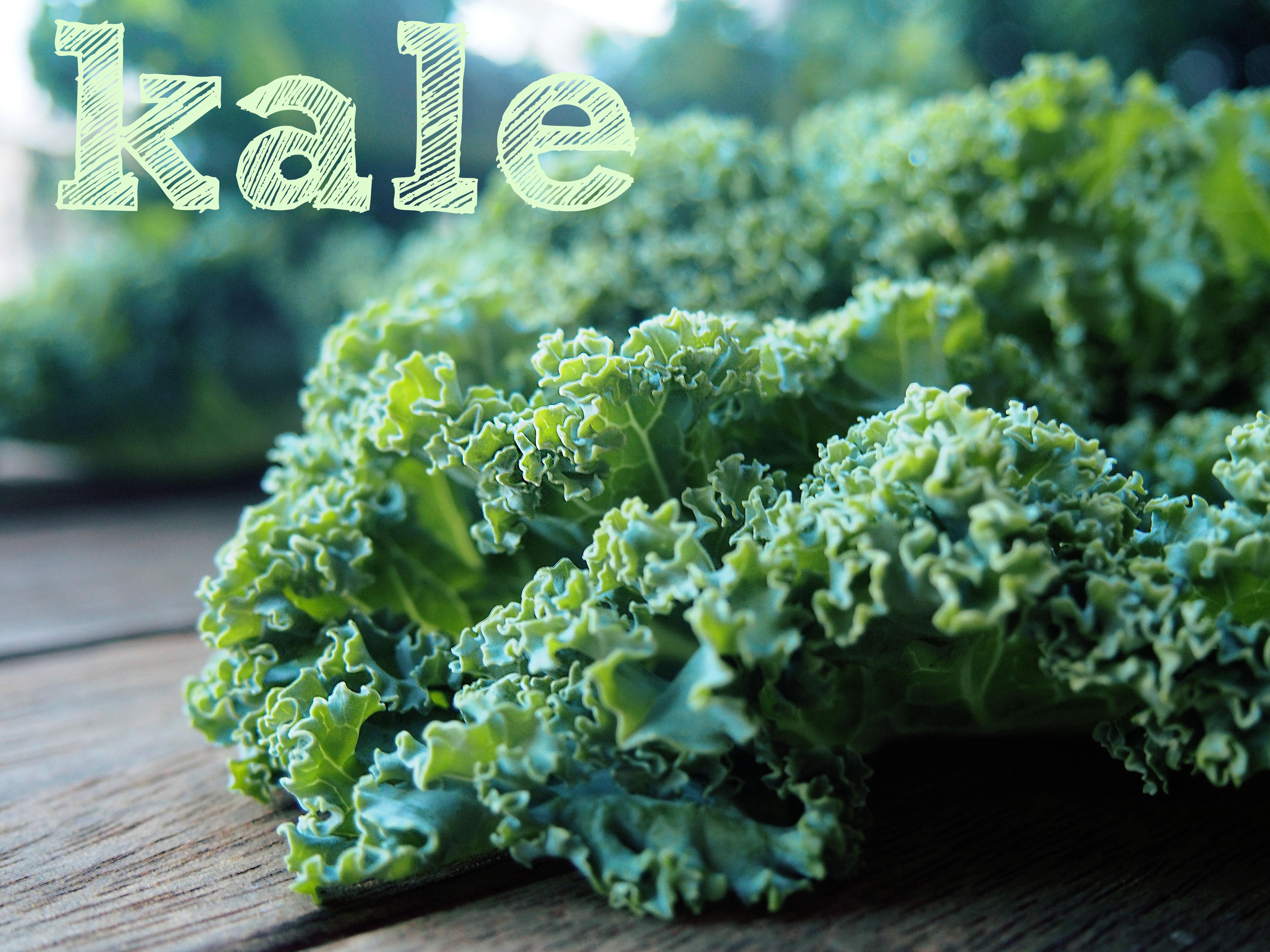 Kale Plant Wallpapers - Wallpaper Cave