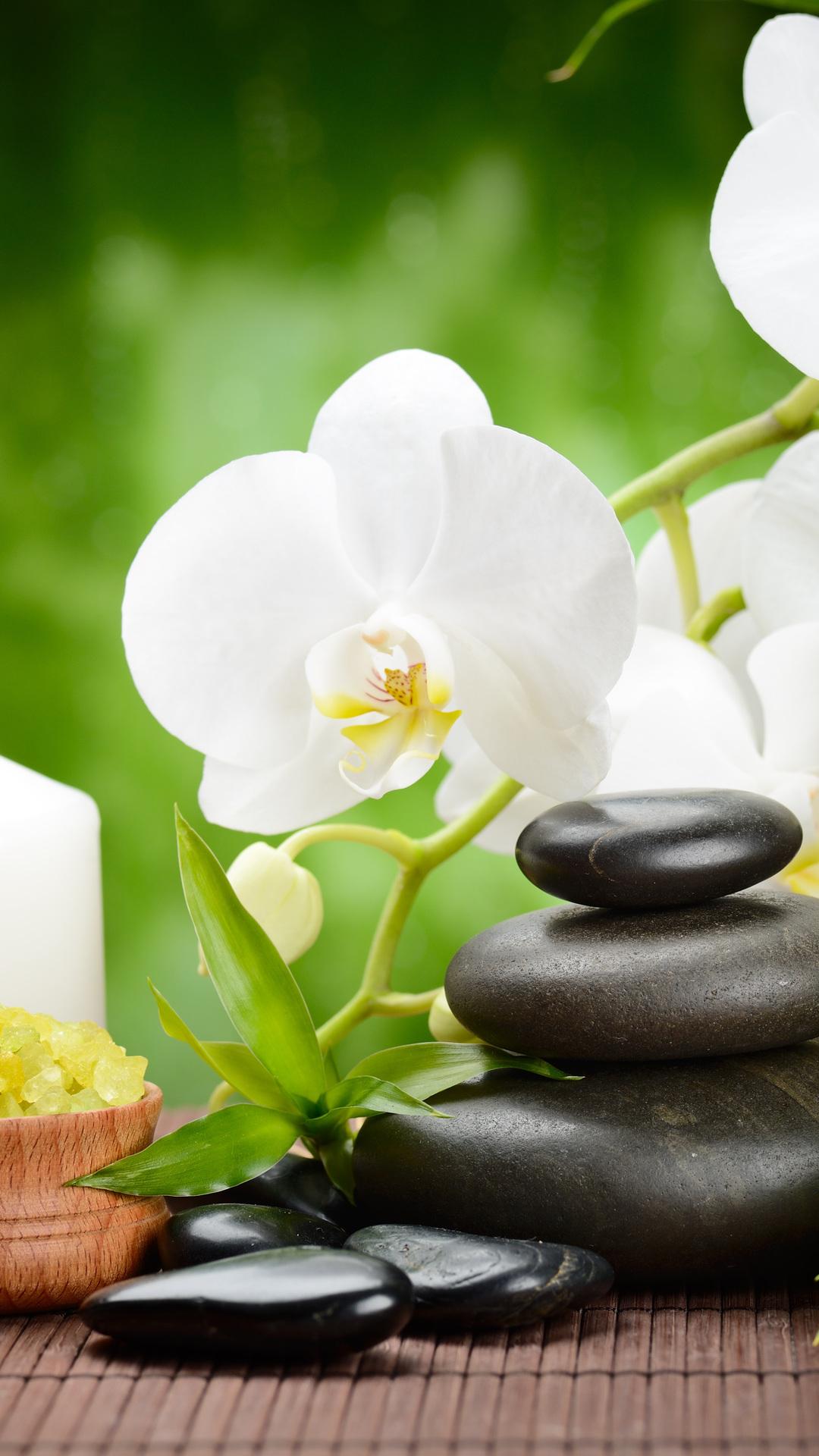 black, flower, massage, orchid, bamboo, spa, stones